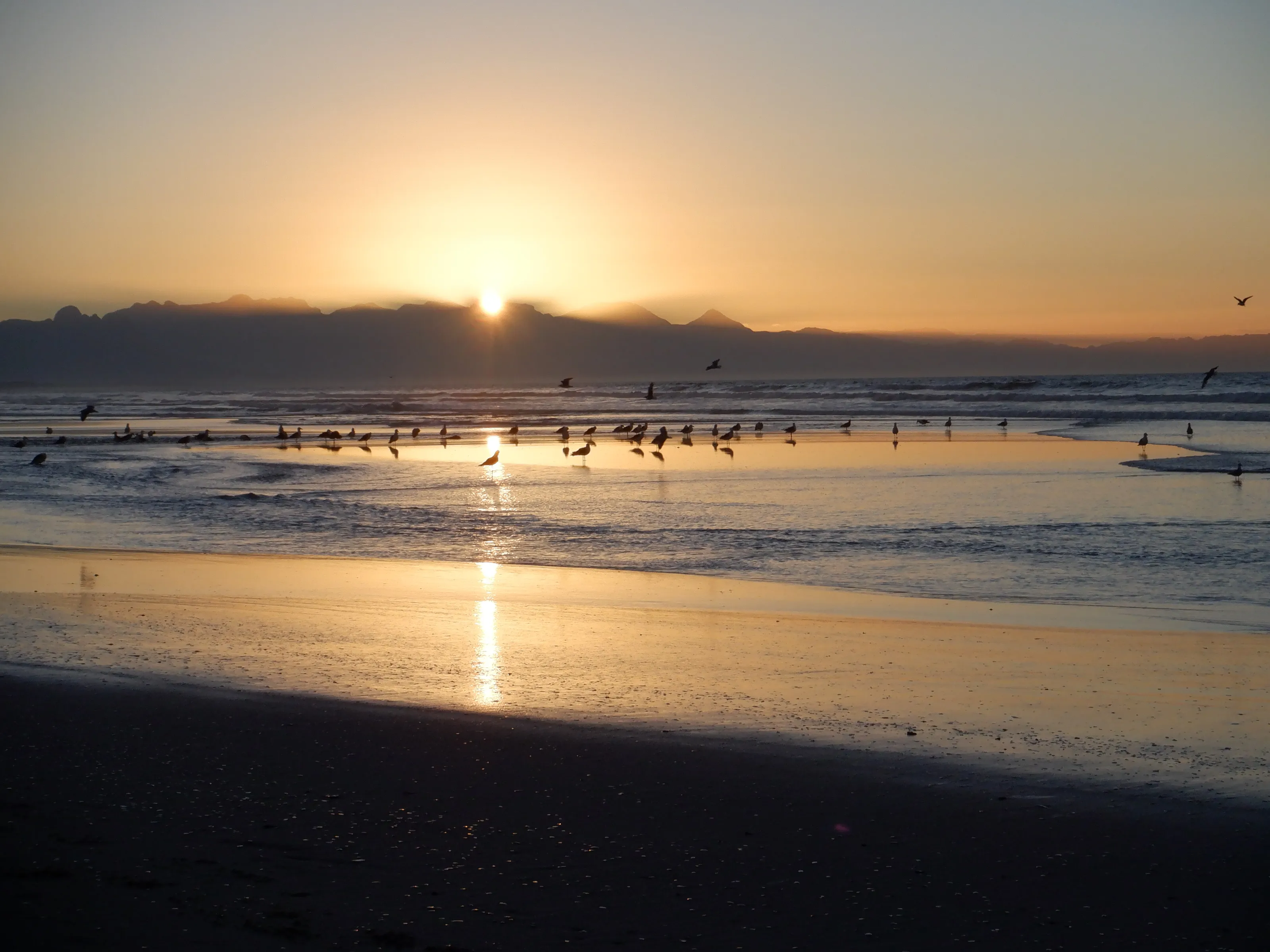 Sunrise at low tide
