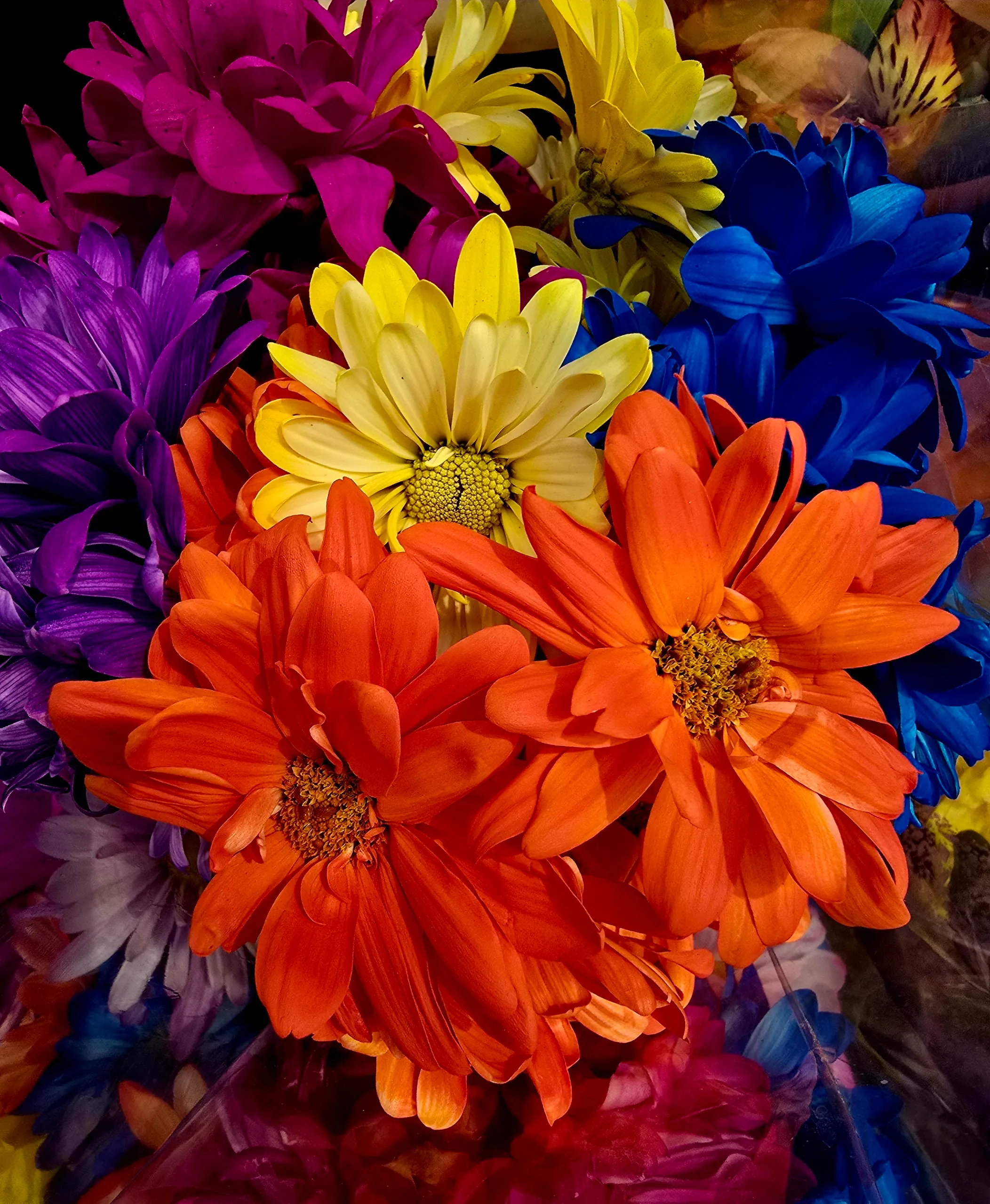 Flowers Close Up (in colour)