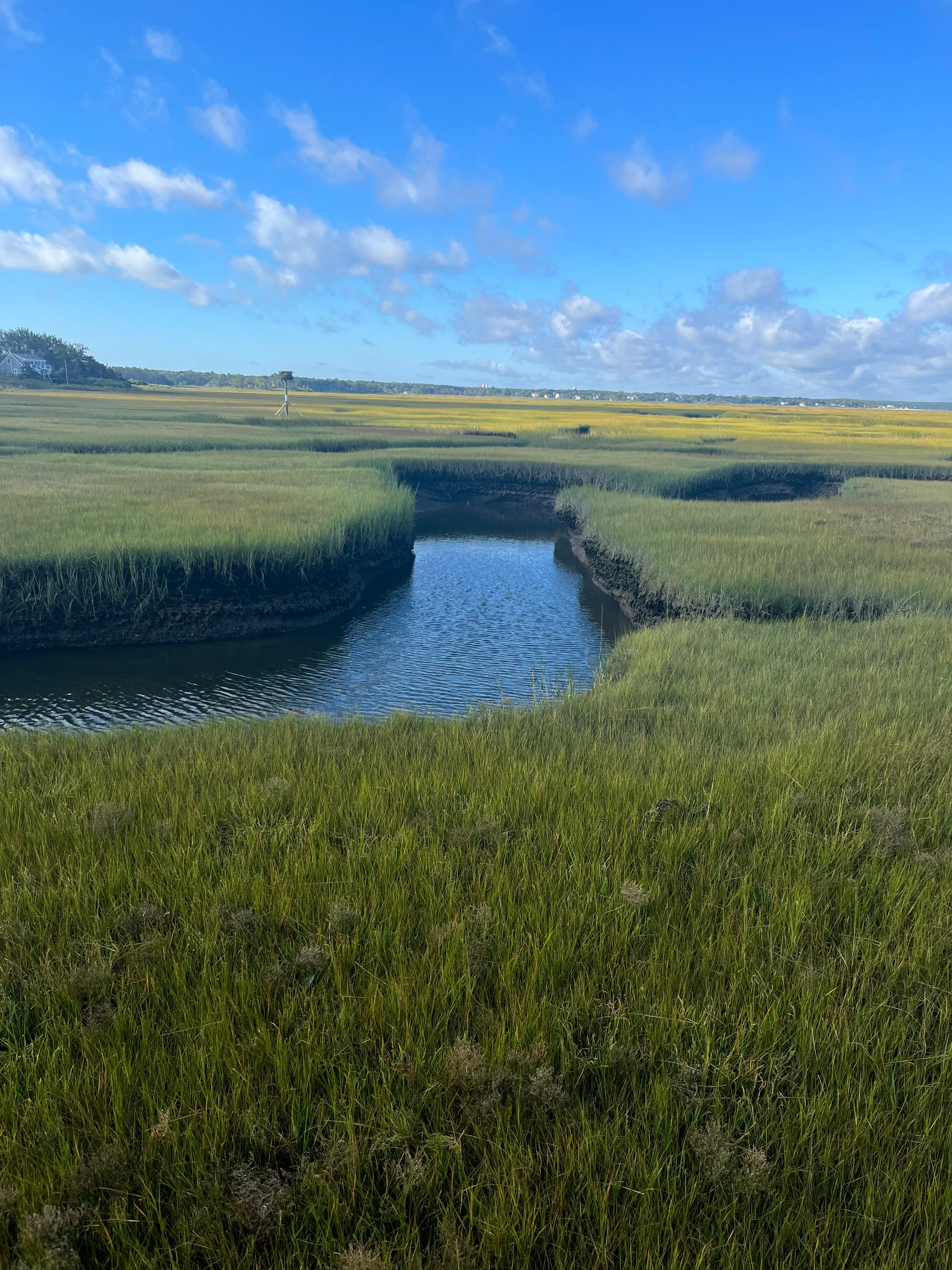 Cape Cod