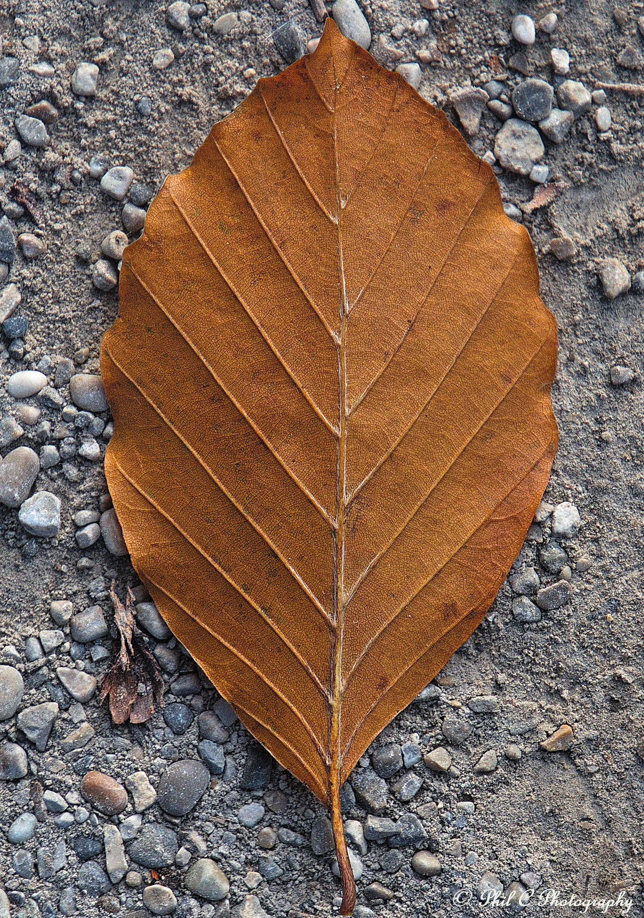 Two Colours (in colour)