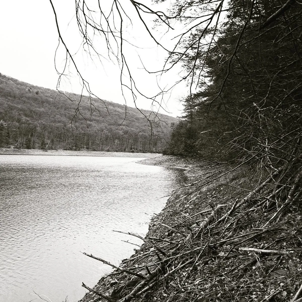 Water reserve
