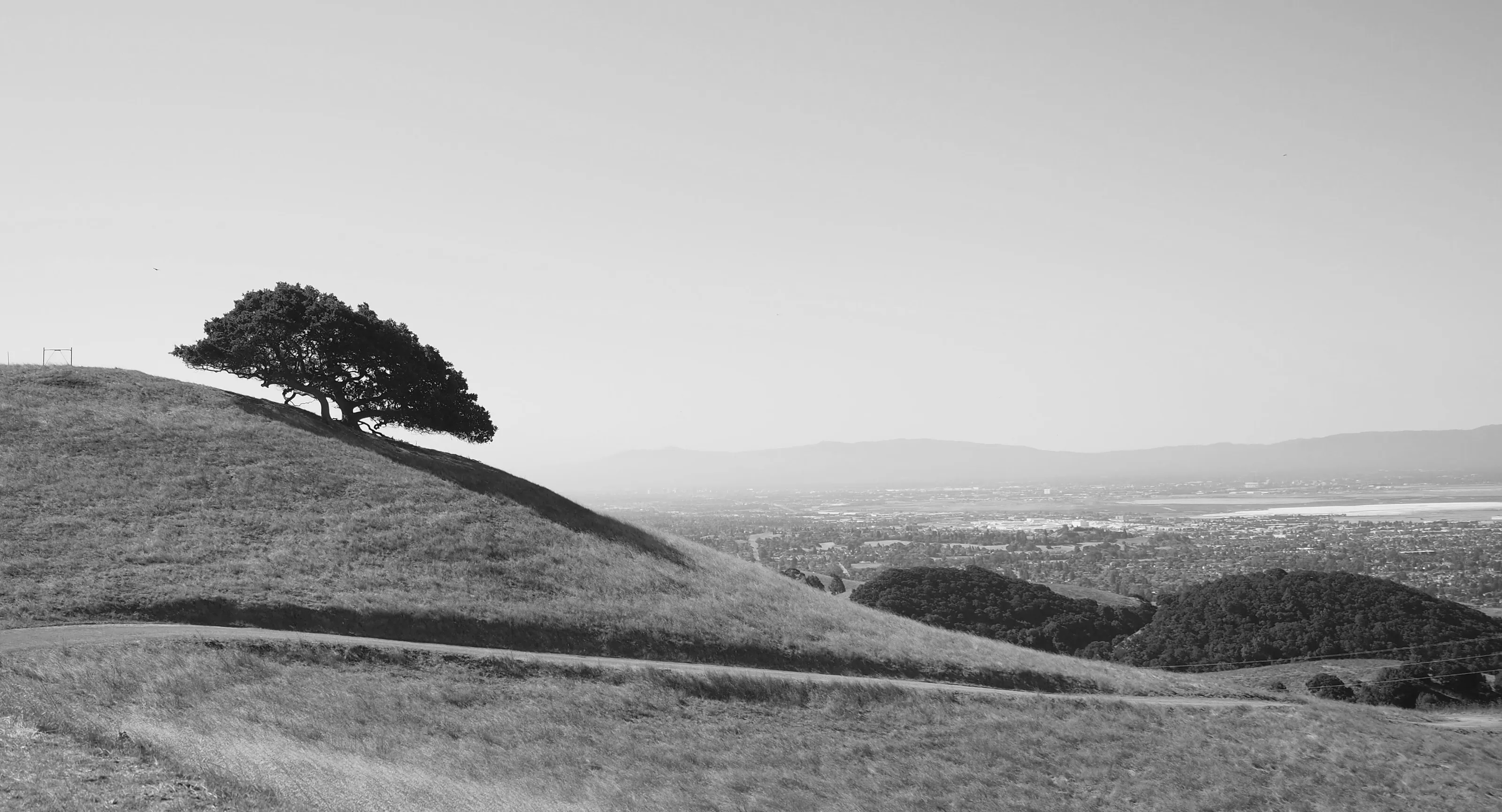 land