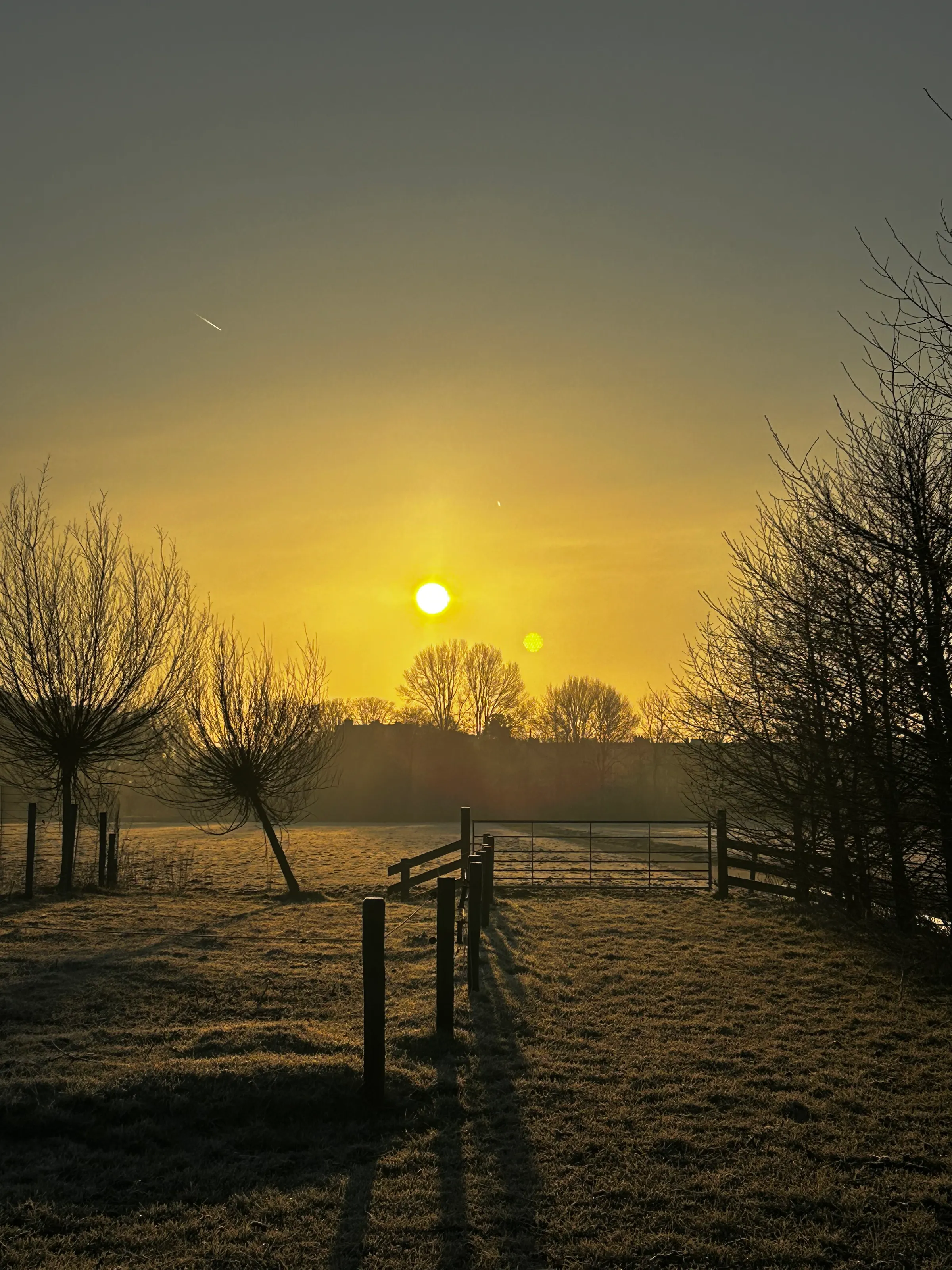 Sunrise on the farm