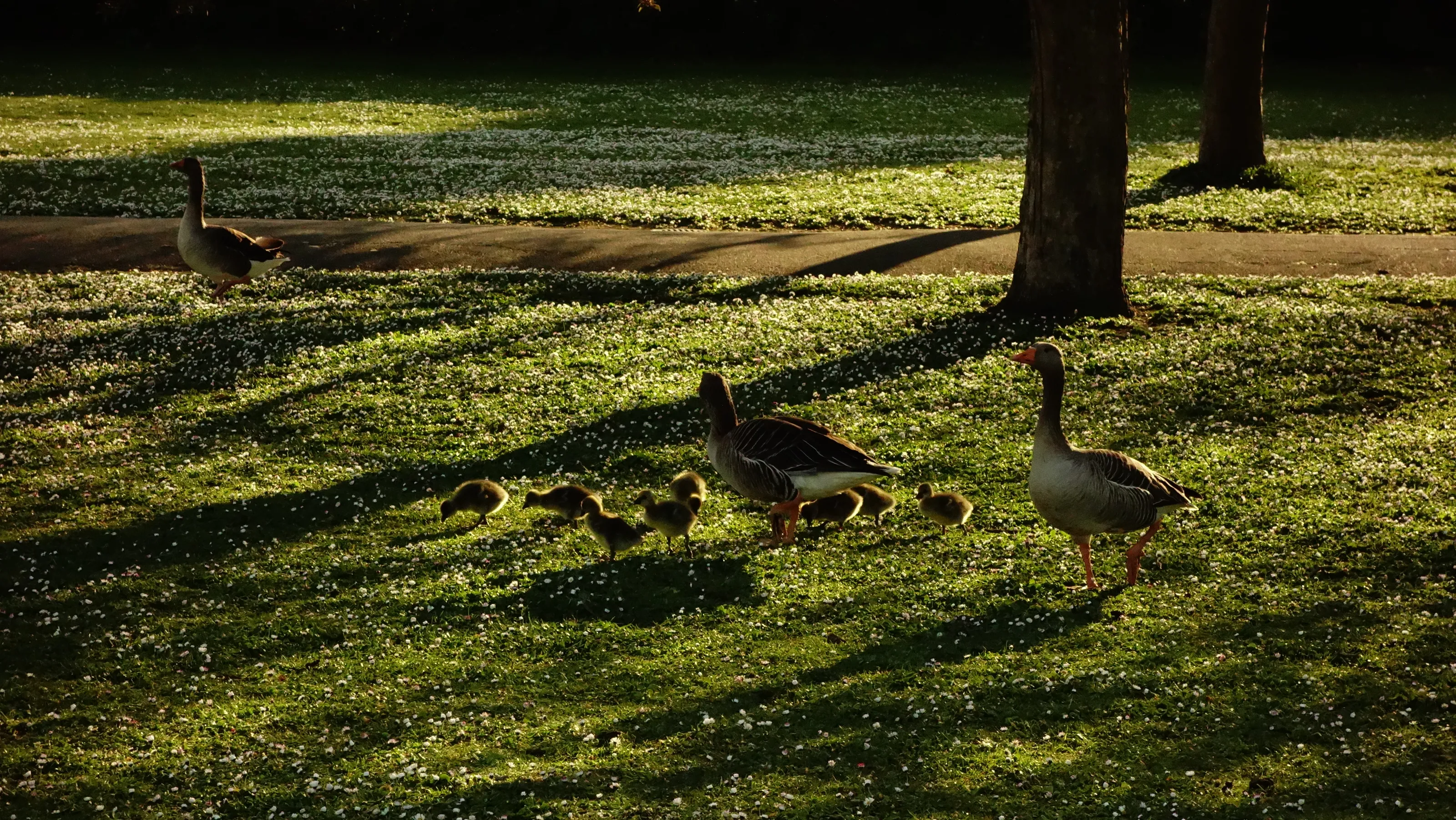 Spring in London