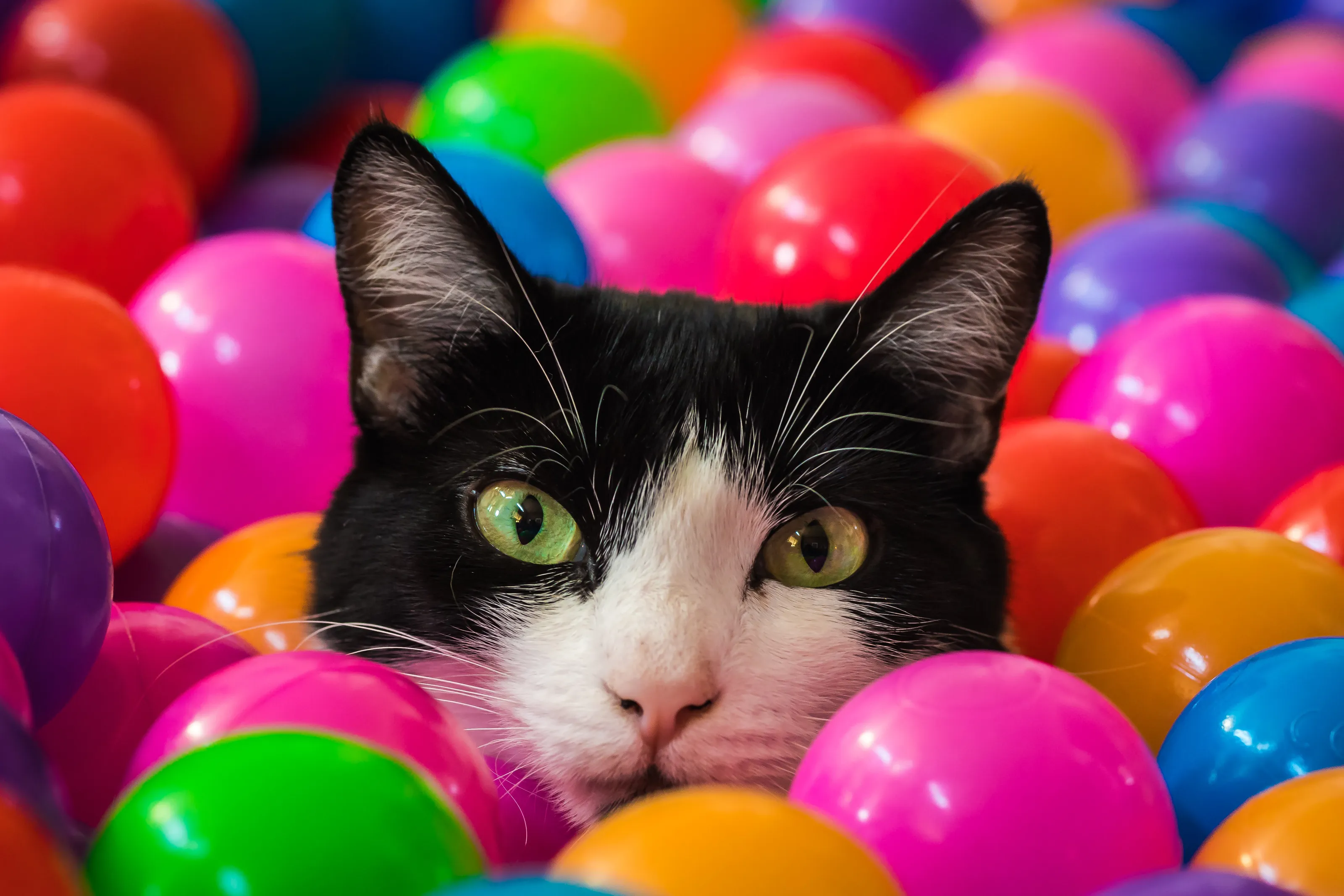 Ballpit