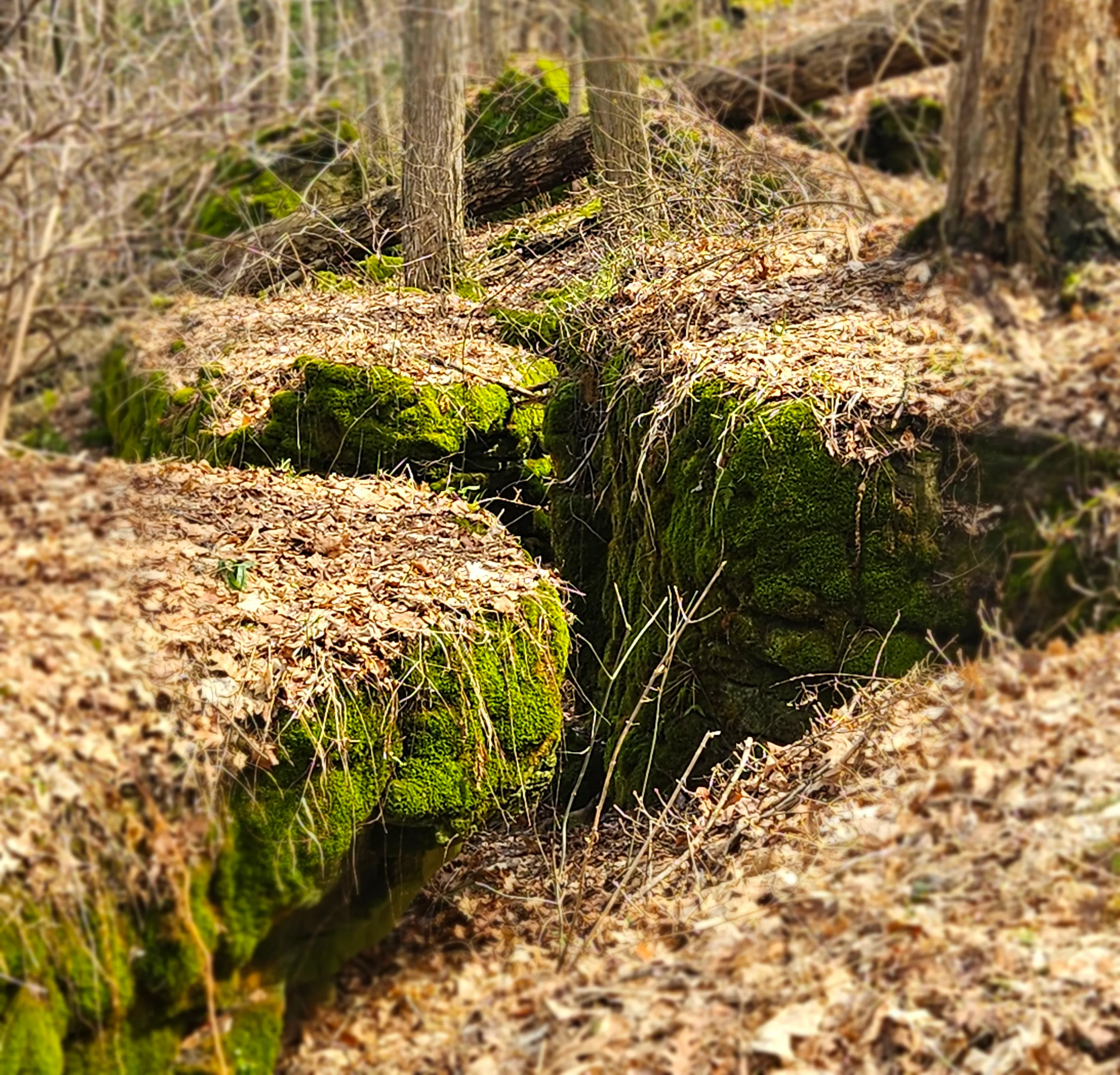 Hidden Cracks and Crevices in Nature