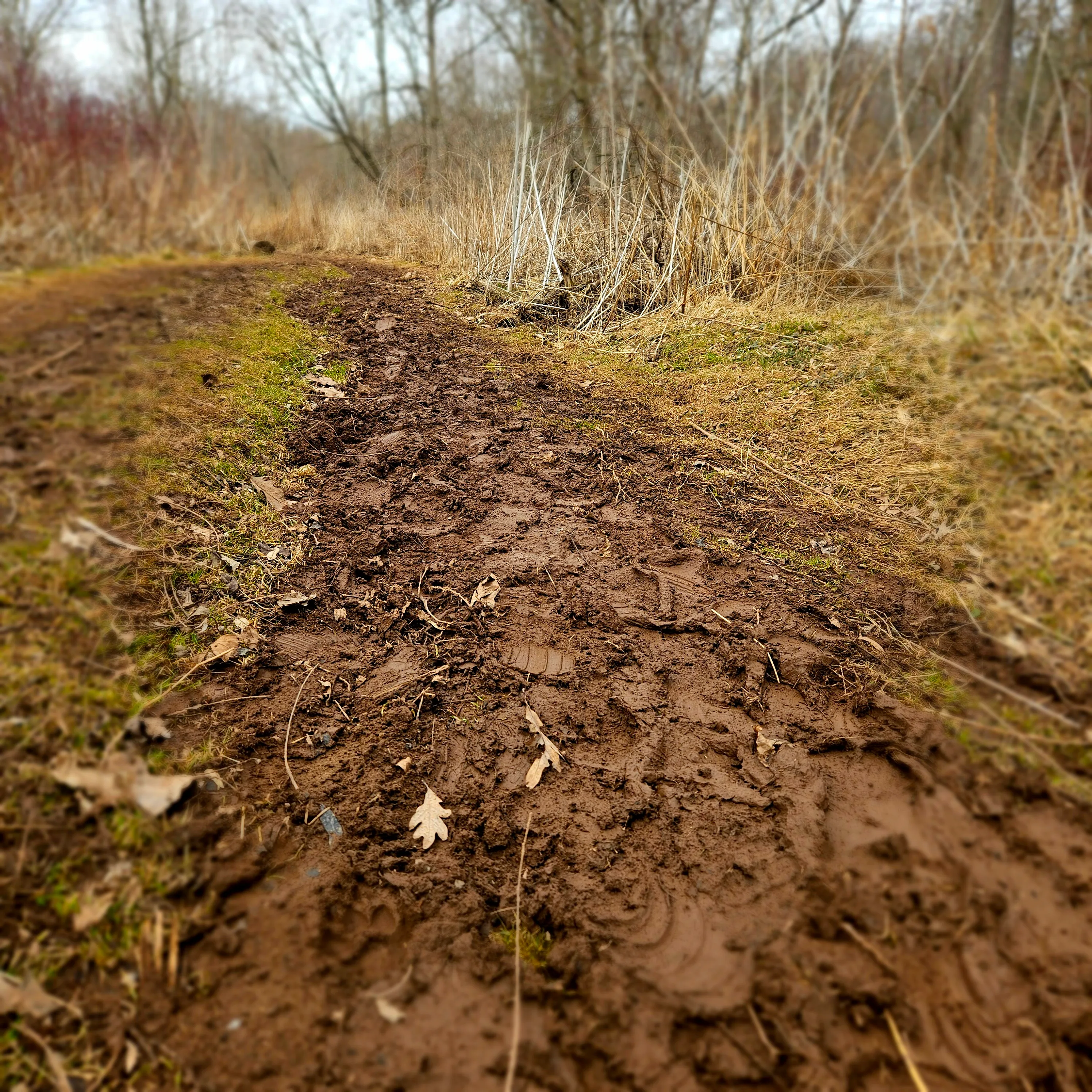 Muddy Paths and Trails