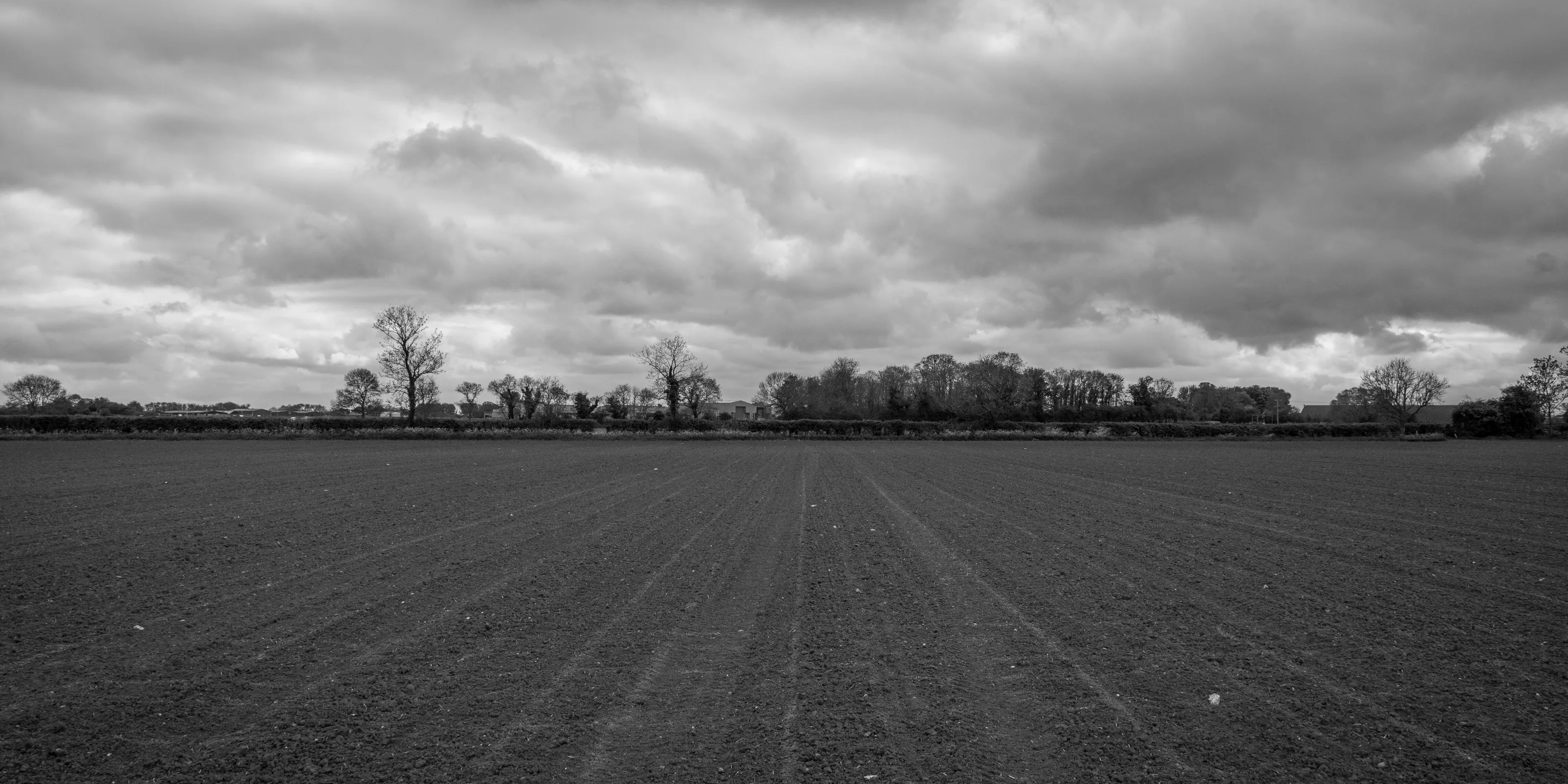 Moody field
