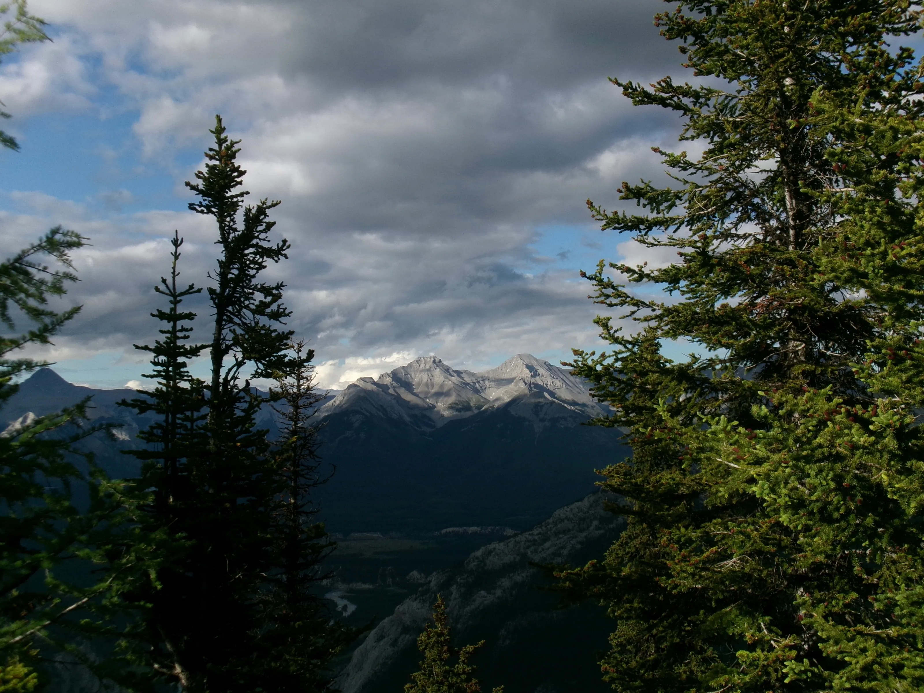 the rockies