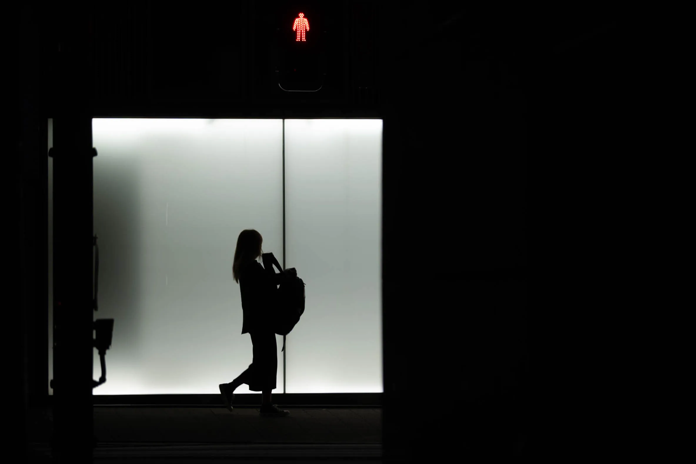 Tokyo Silhouette