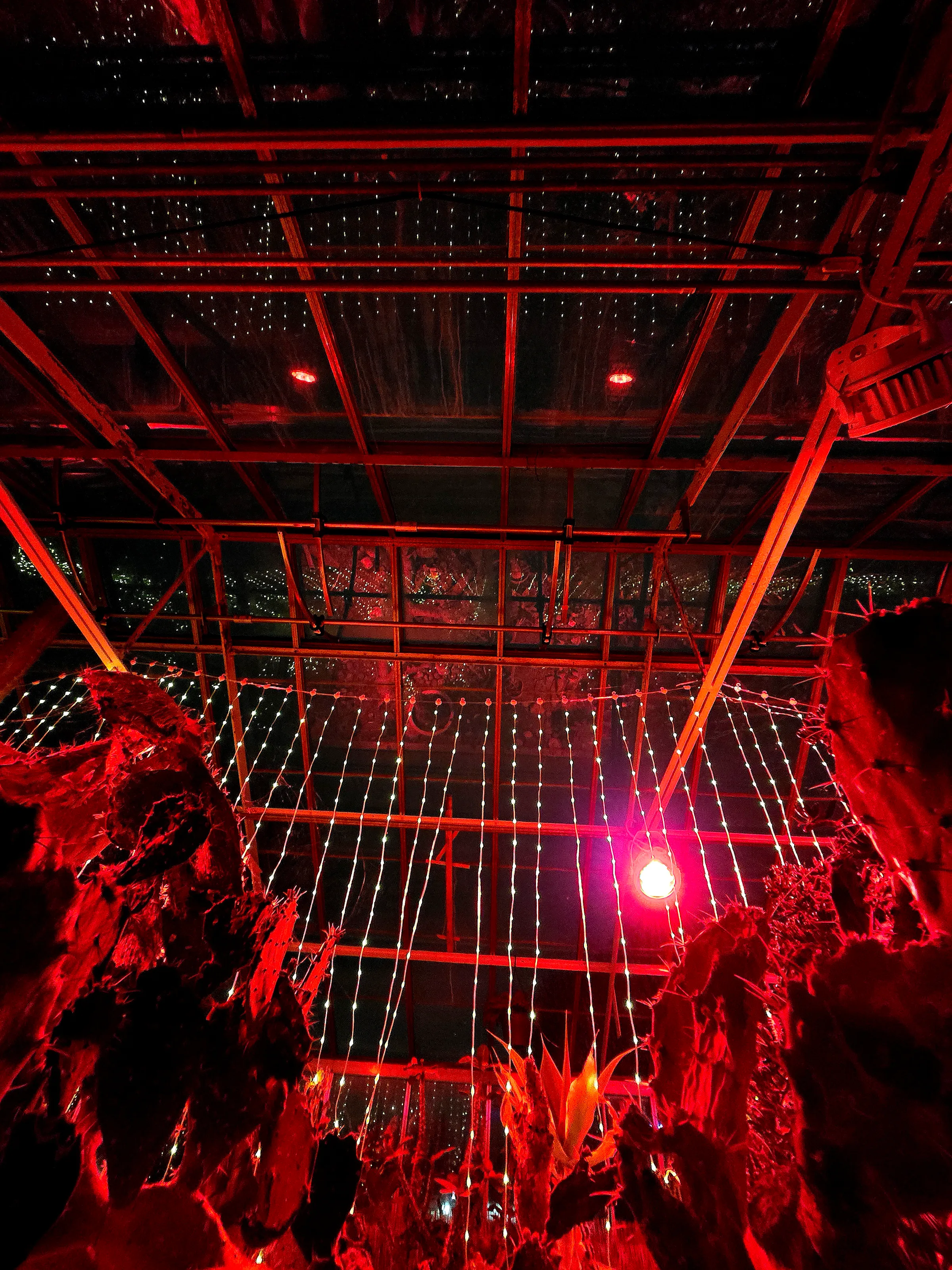 Red-light Greenhouse