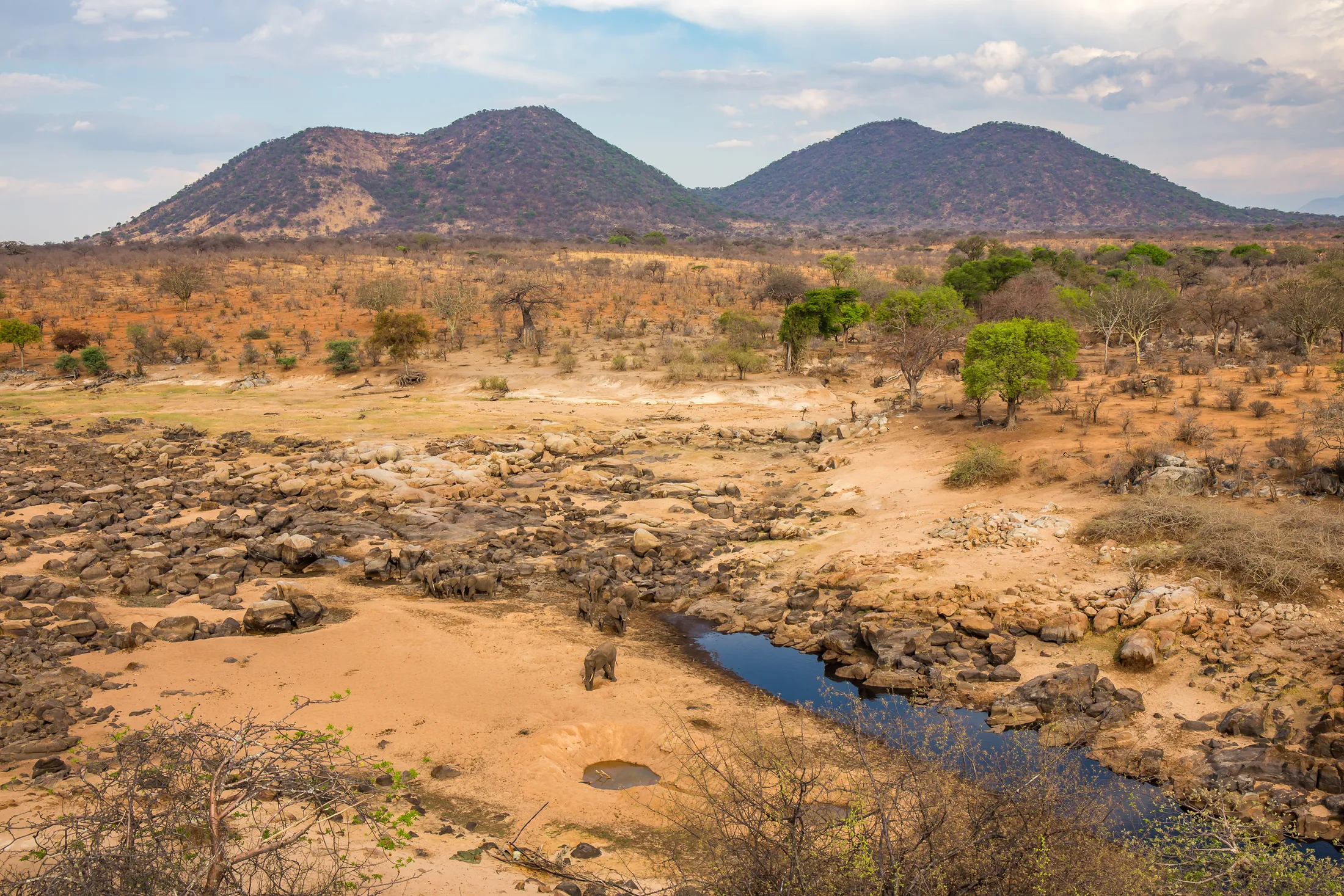 Dry riverbed in Ruaha