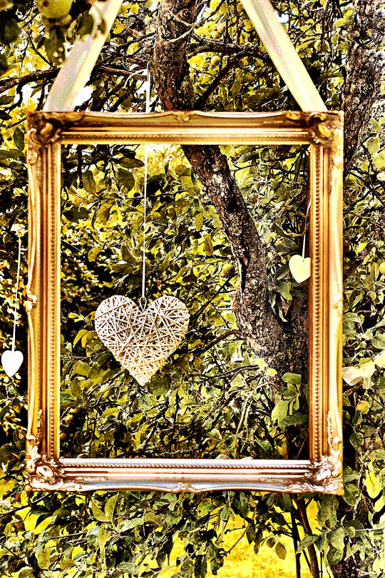 Framing nature