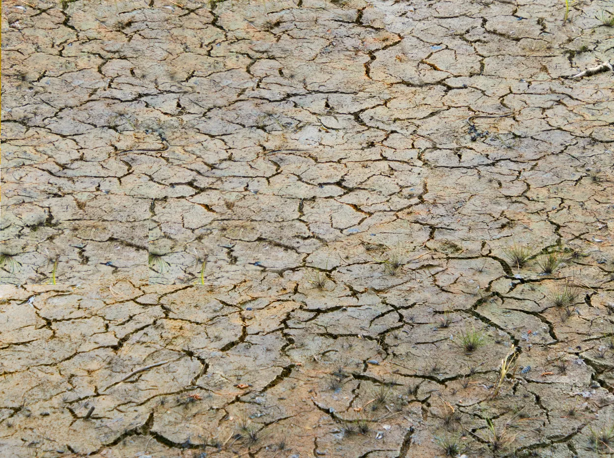 Cracked and dry