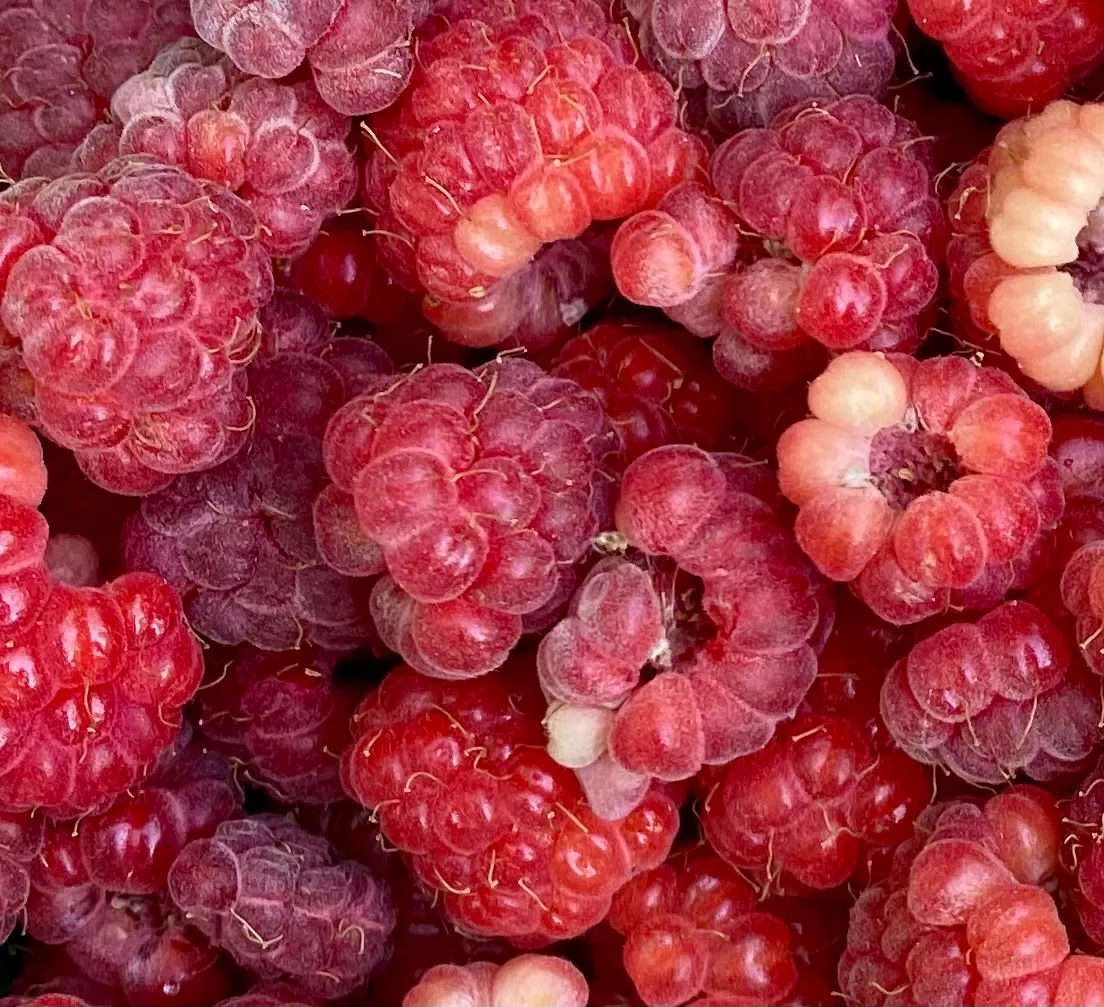 Raspberries