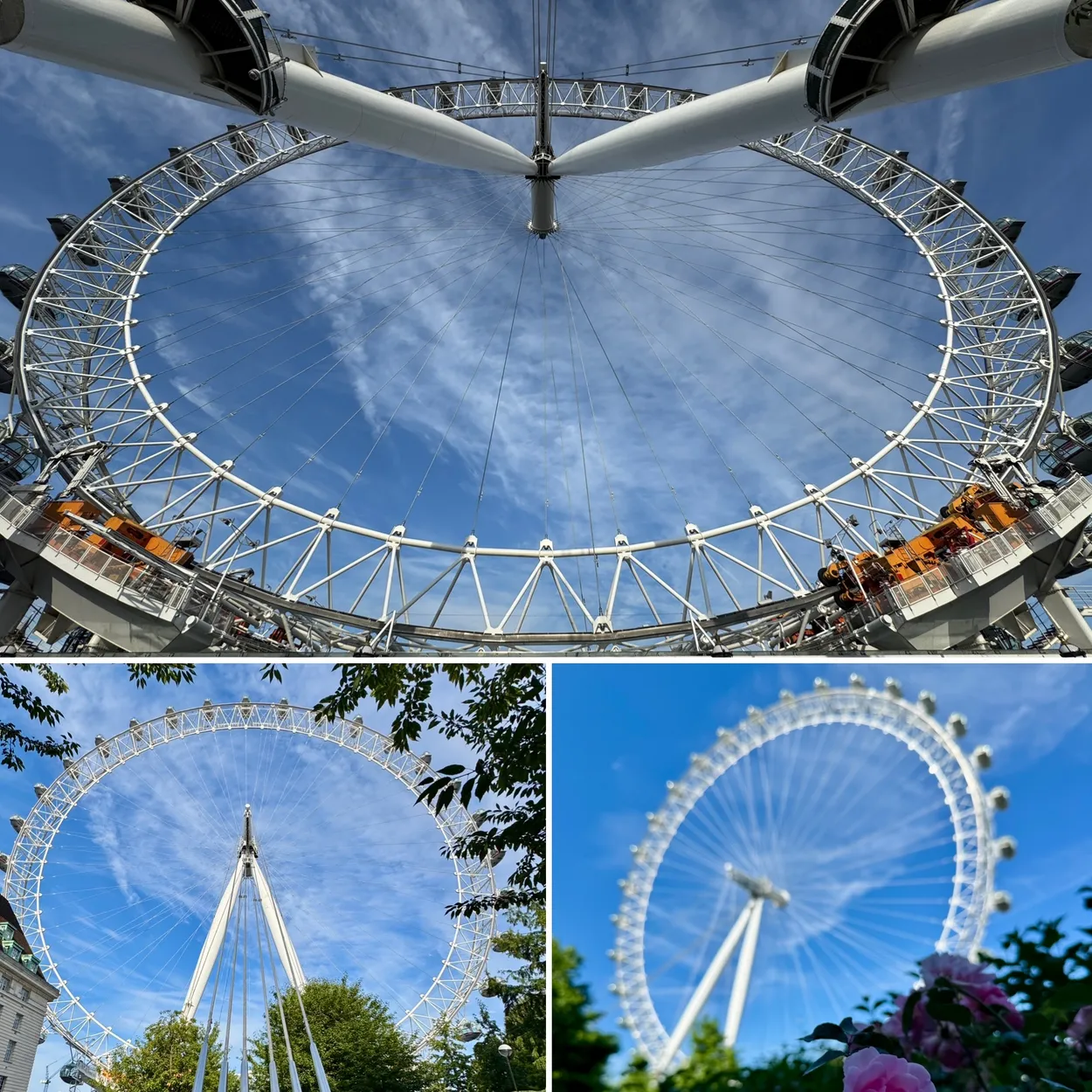 Entry 28294518