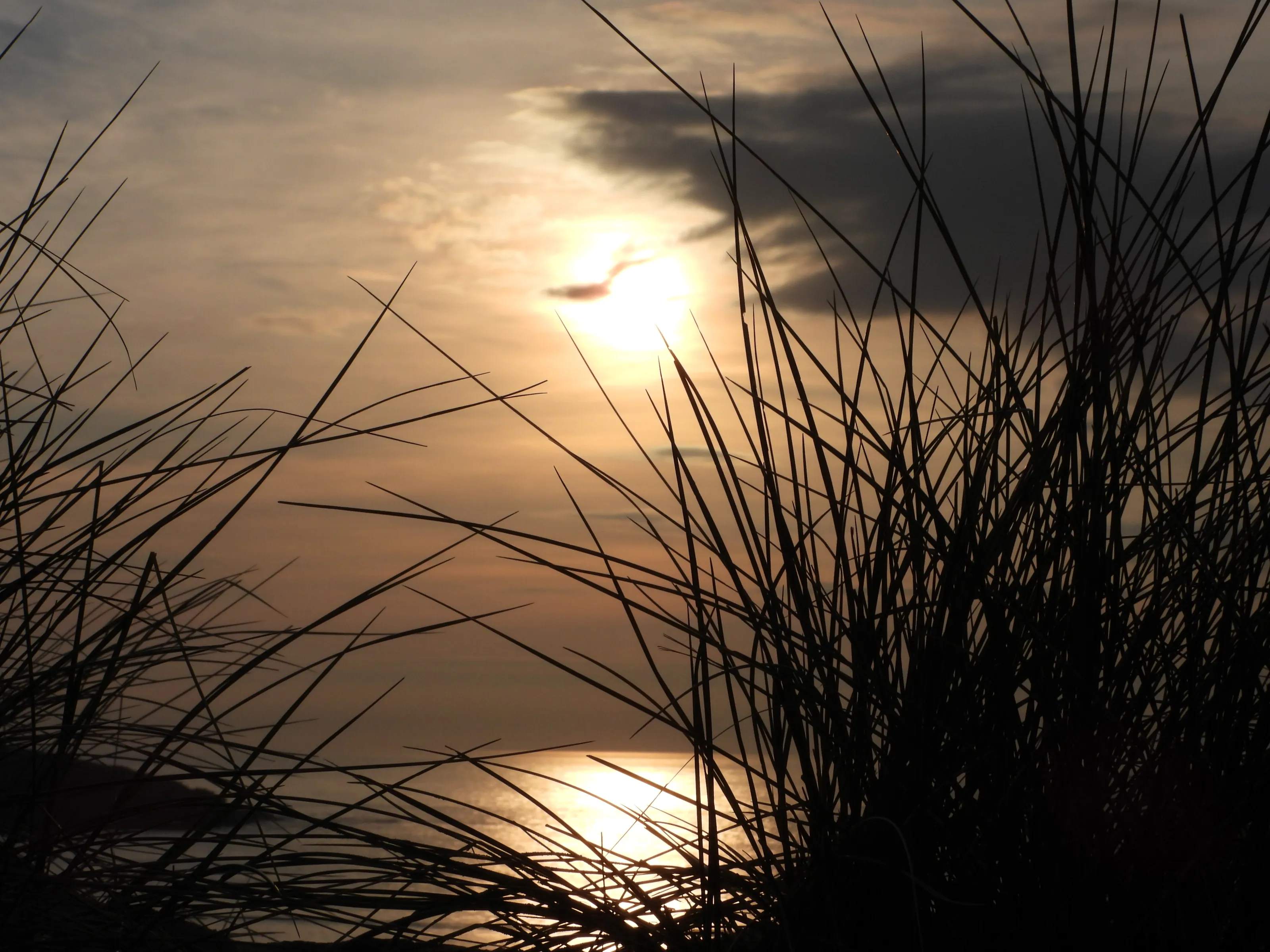 Sunset Crantock Dunes