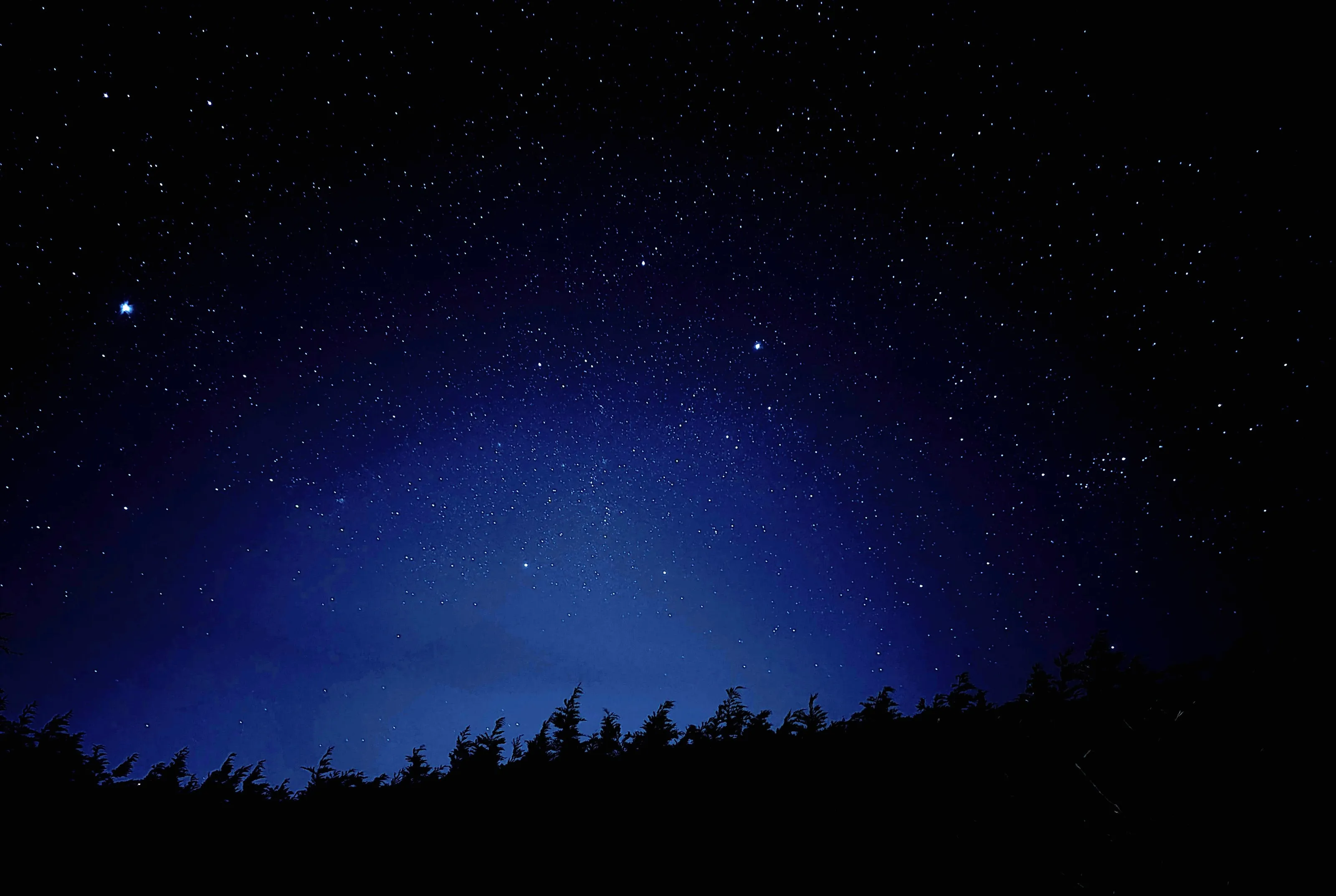 Starry night