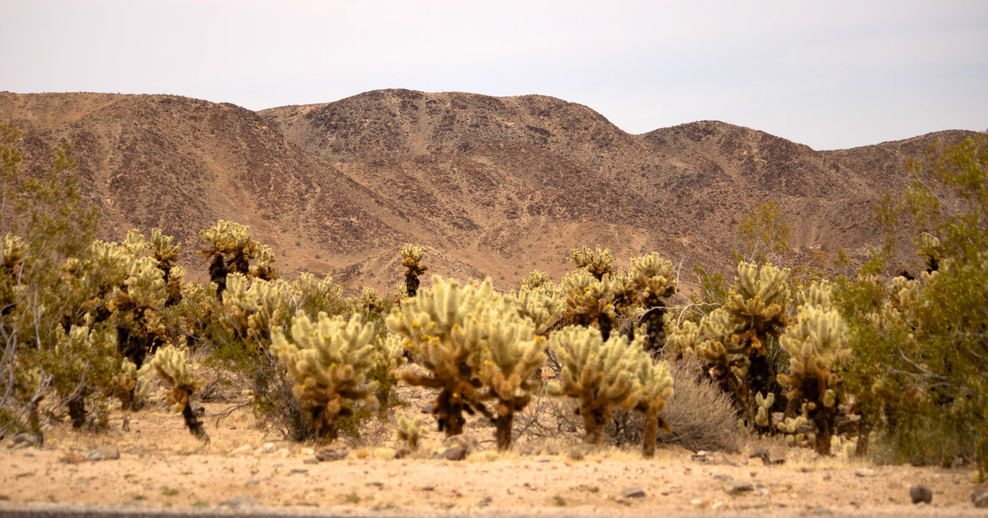 Deserts Without People
