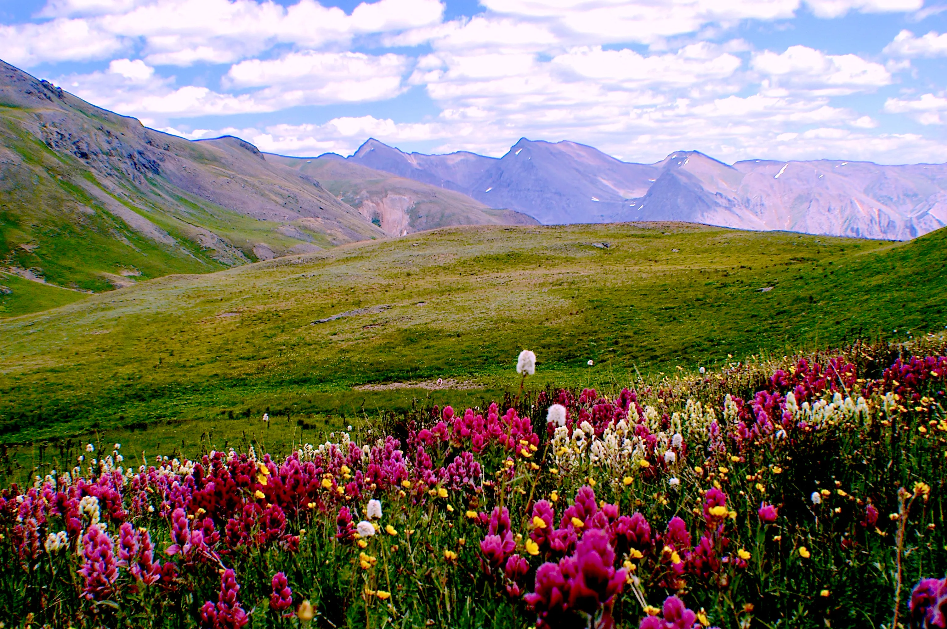 Eureka View