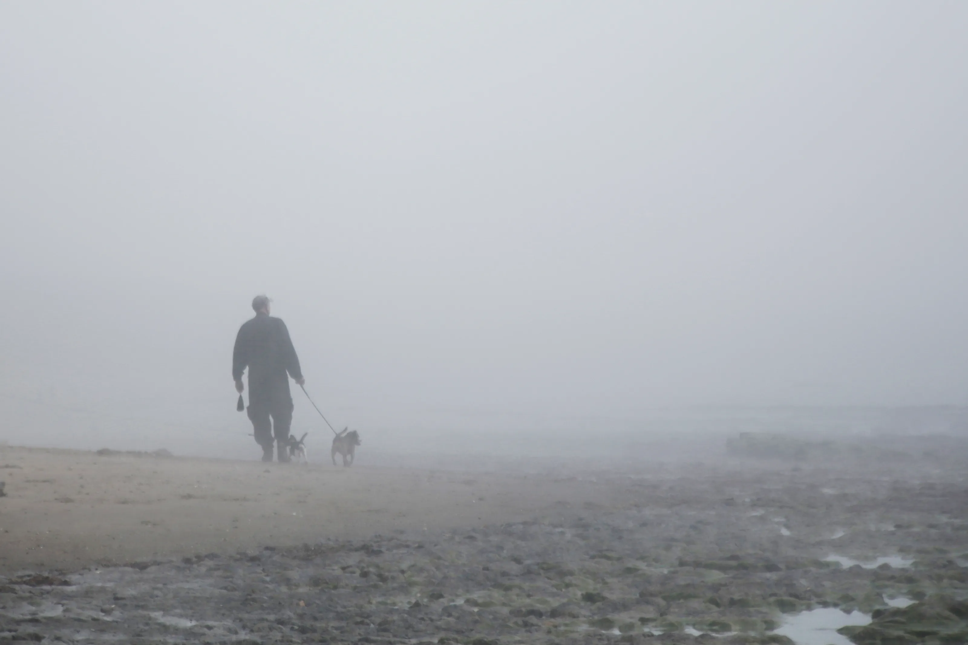 A Single Person in Fog and Mist