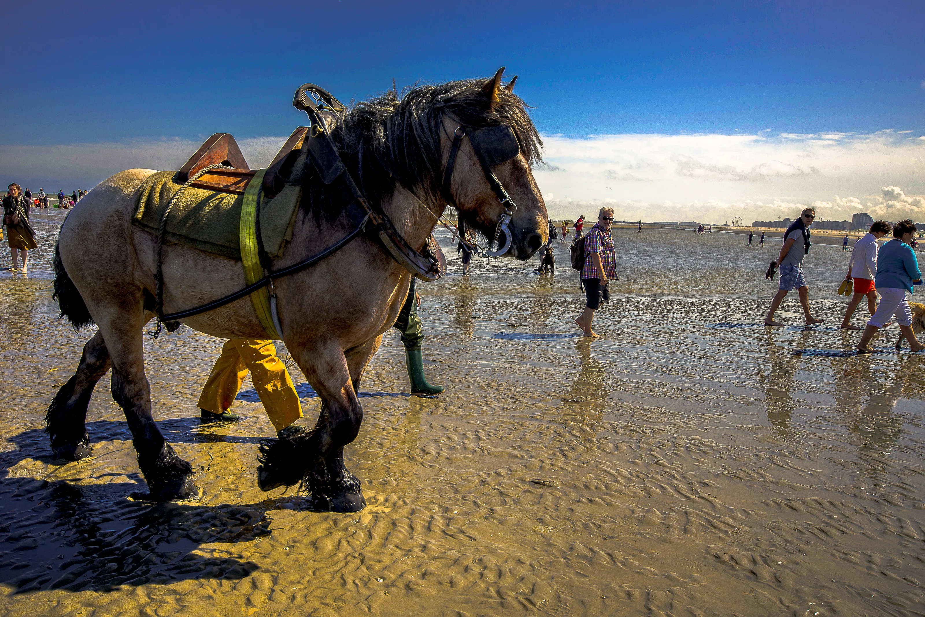 Shrimp fishermen