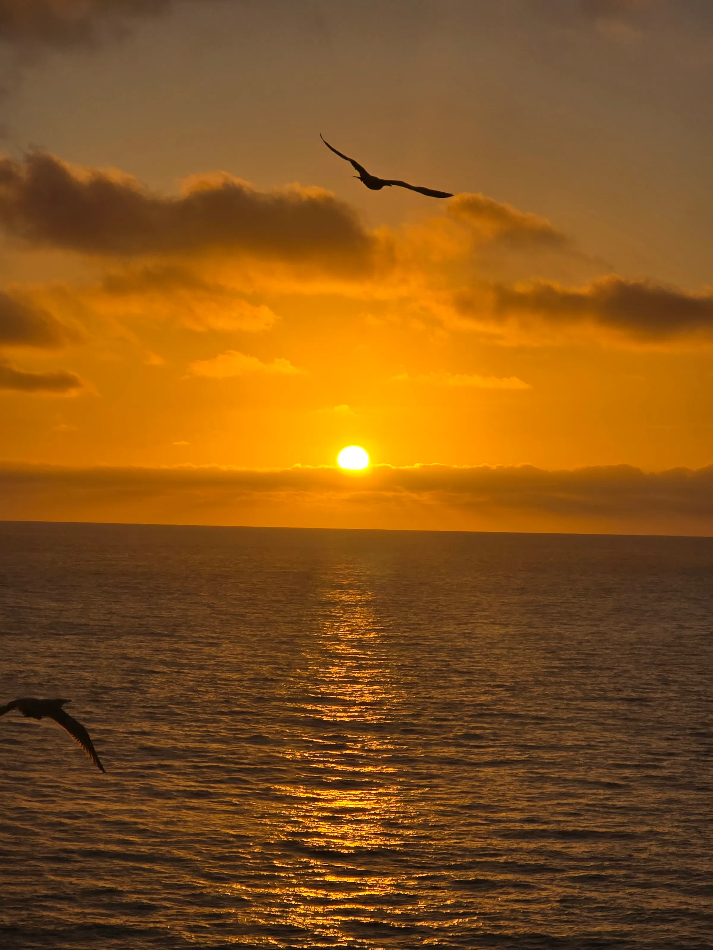 Sunset fun