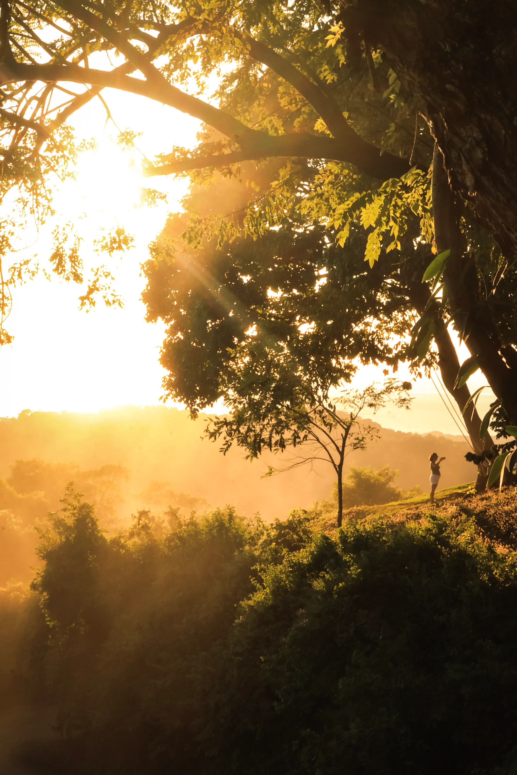 Costa Rican sunset