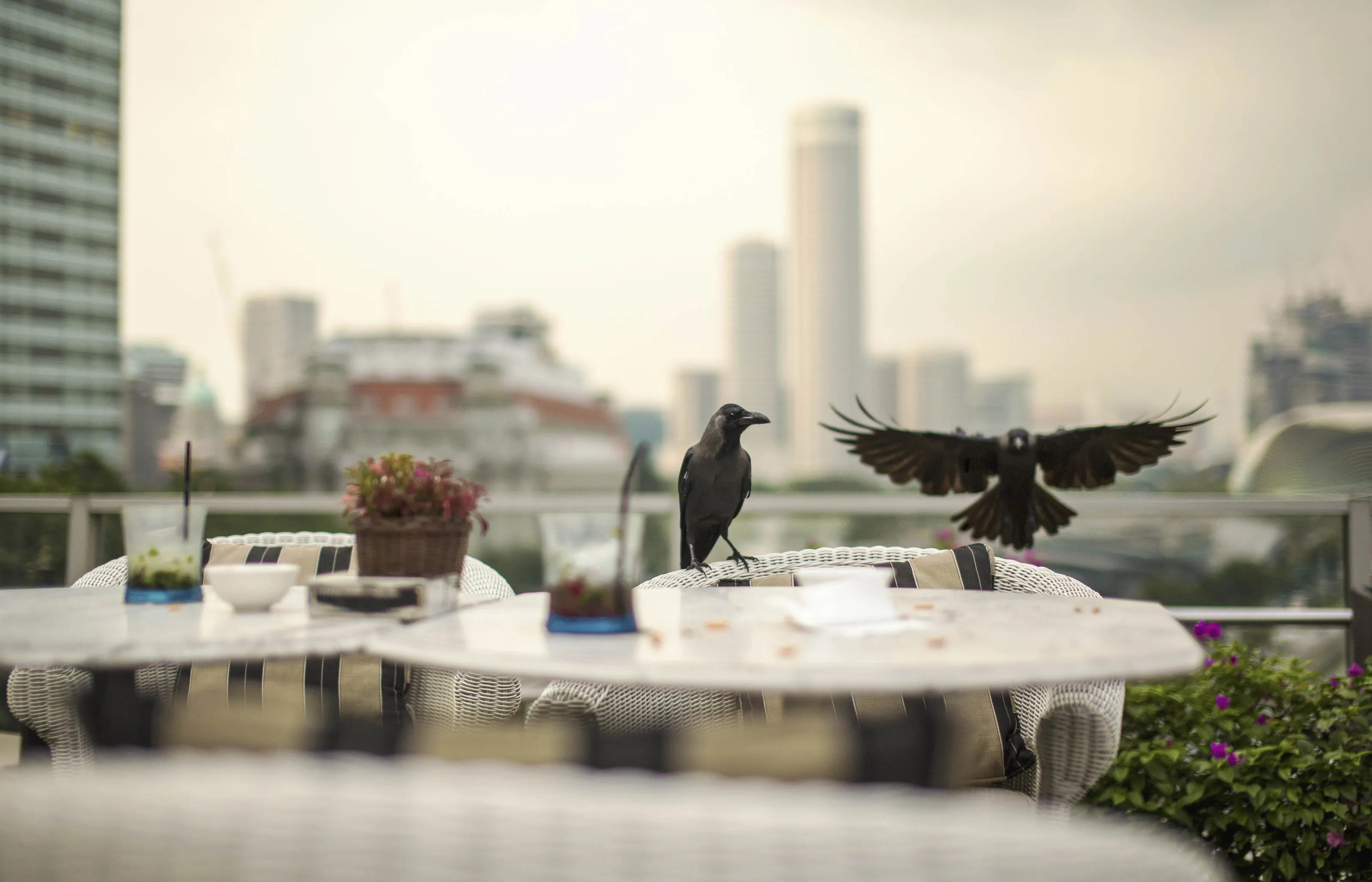 From the archives: Photocrowd favourites and their judge reviews