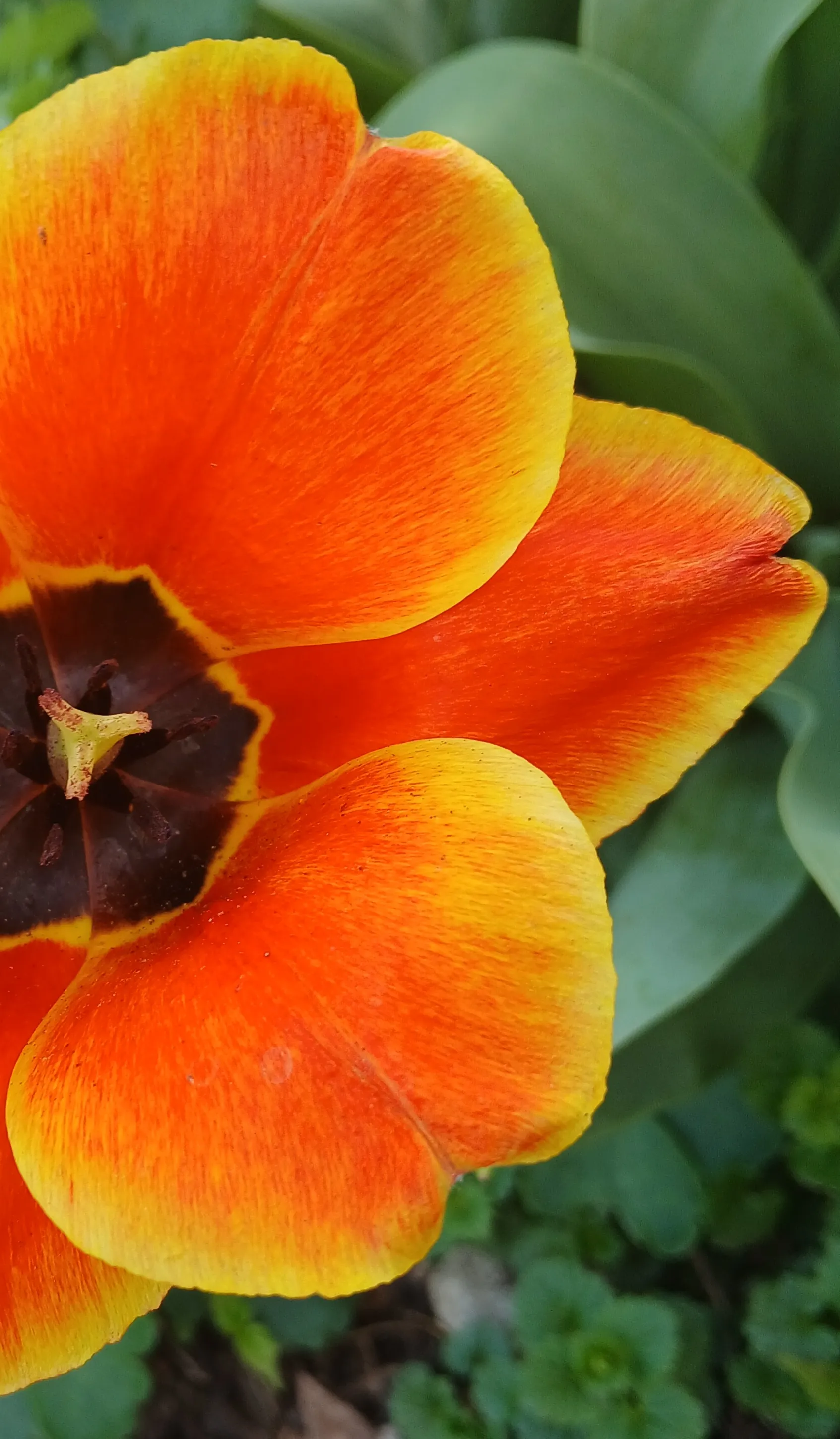 Firing Up Spring