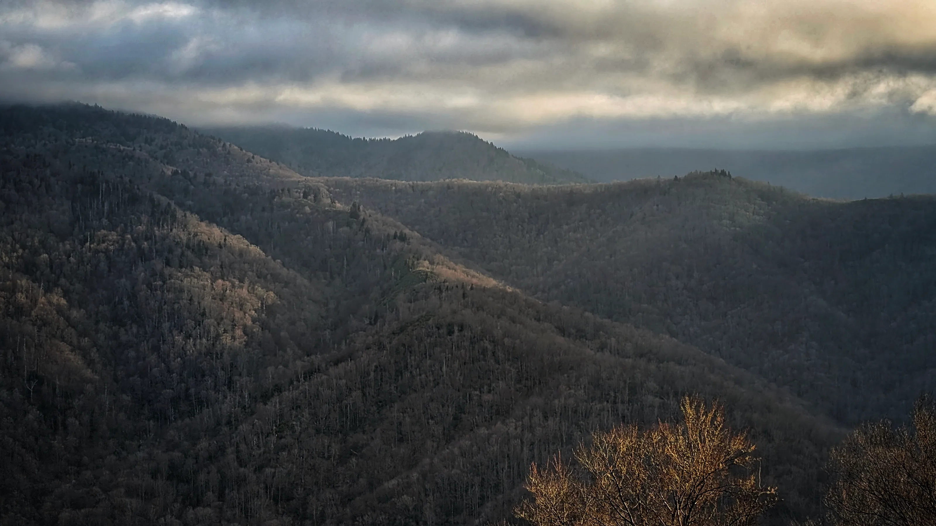 Smoky Mountains Morning
