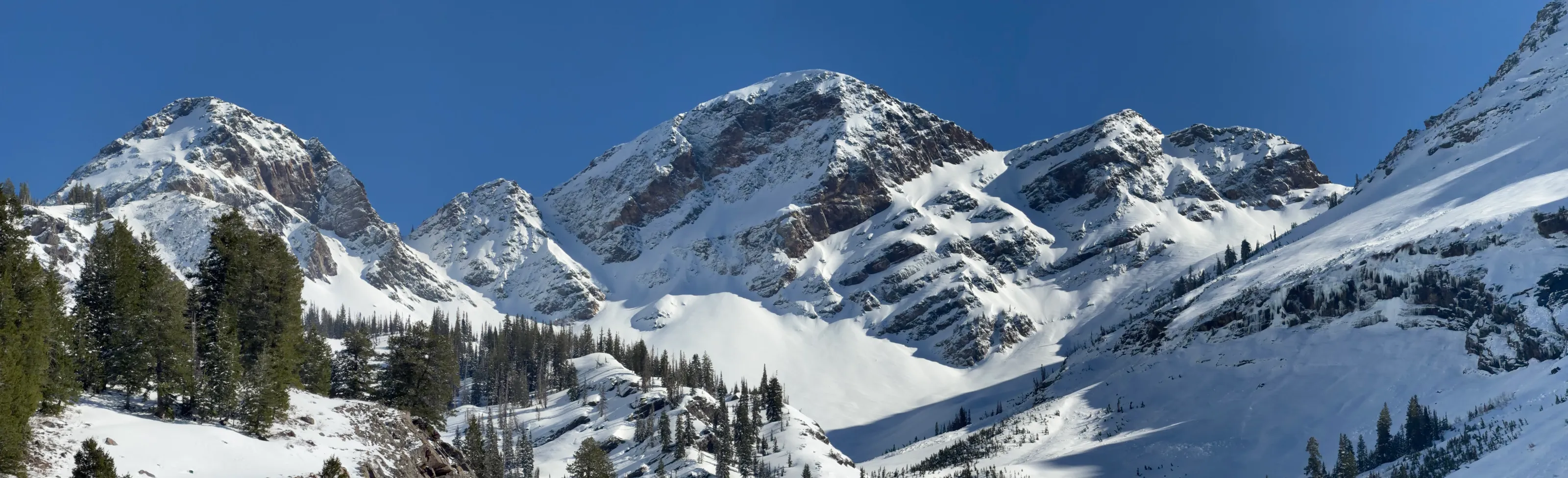 The Snowy Peaks
