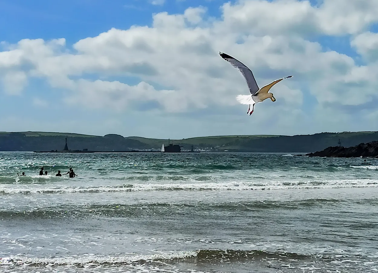 Cornish Seaside
