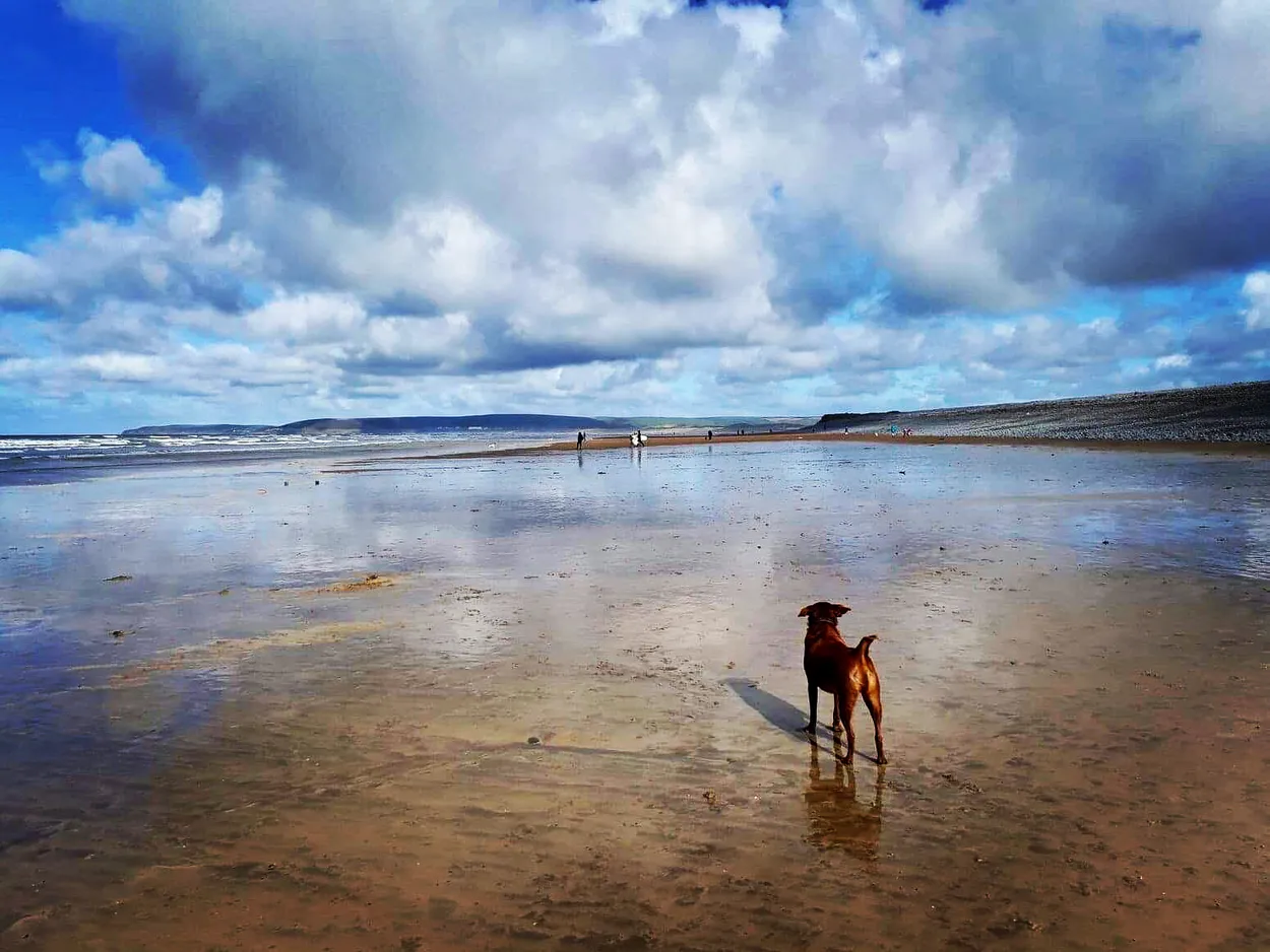 Crantock