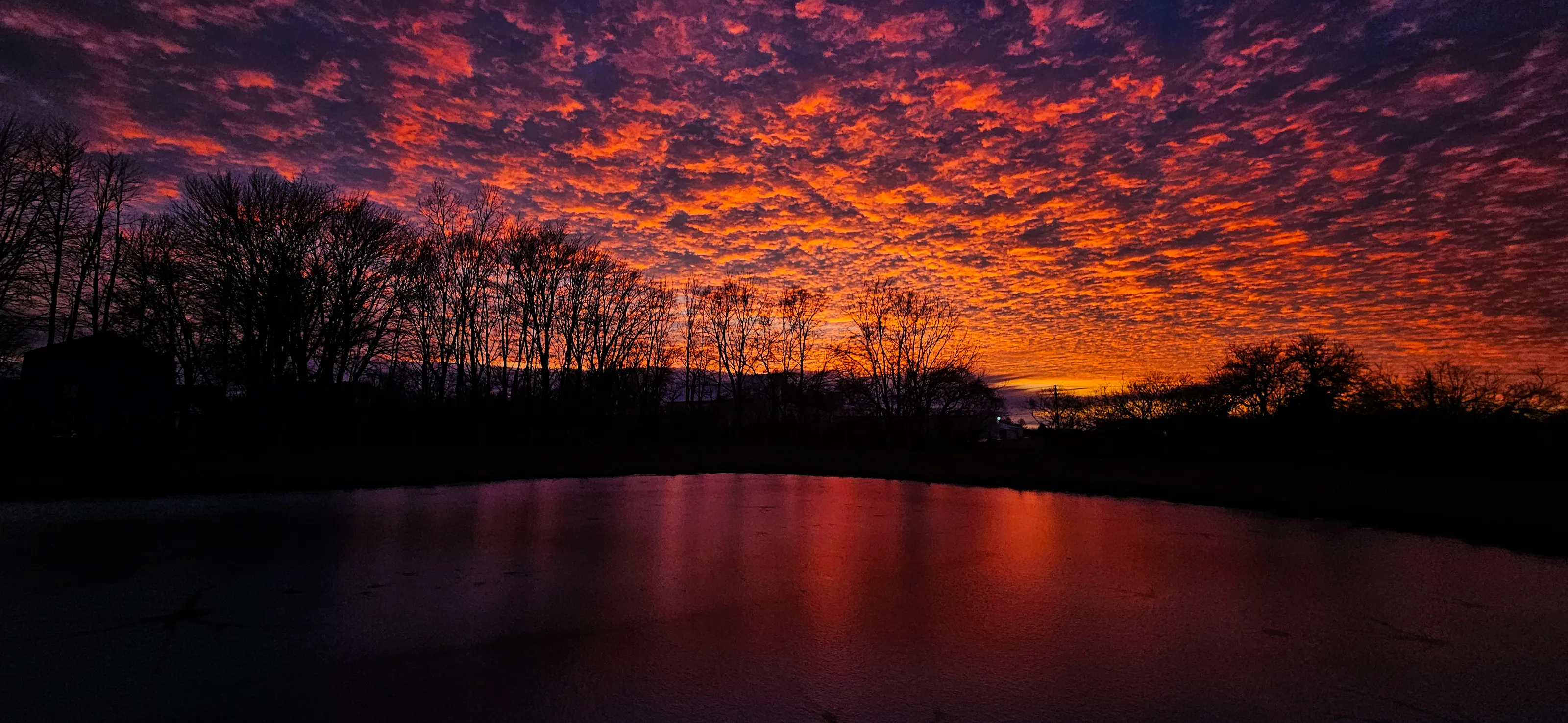Fiery Winter Sky