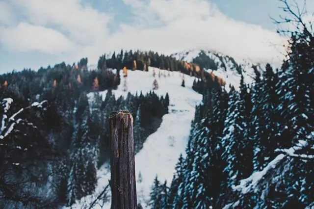 Winterwalk #1