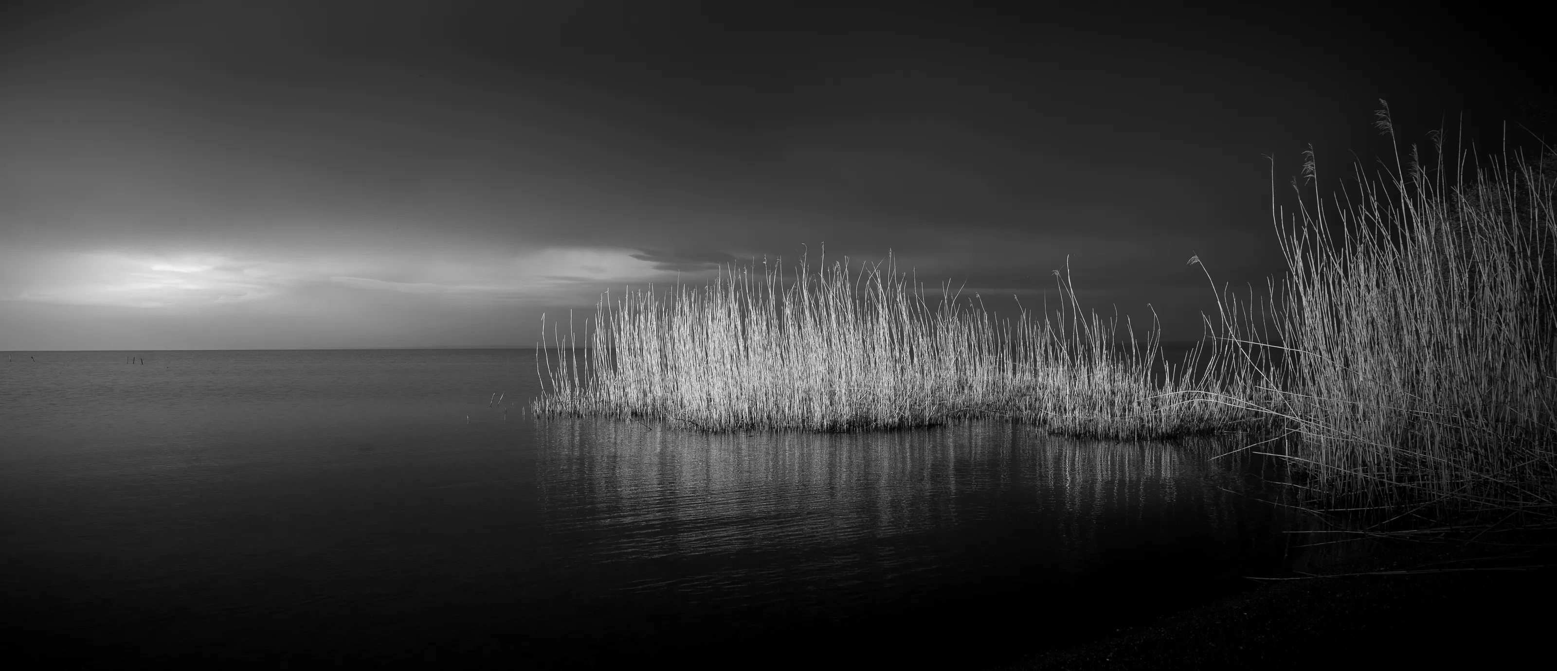 Stillness
