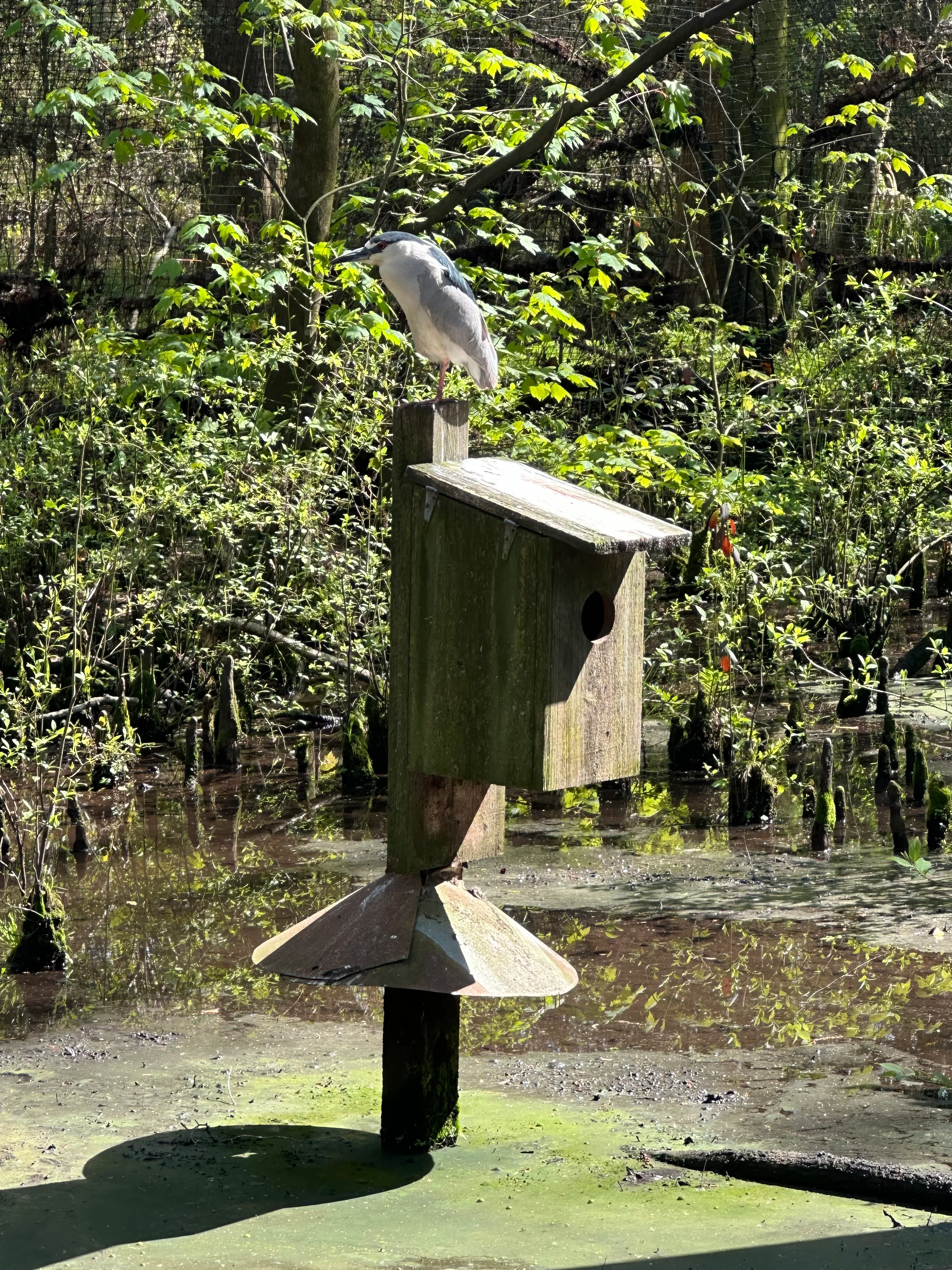 Manmade Birdhouses Outdoors
