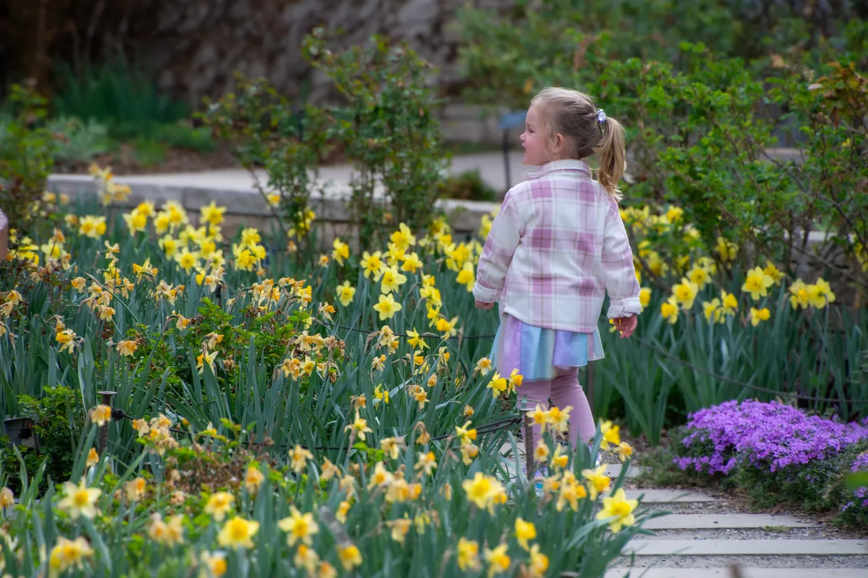 A Future Gardener