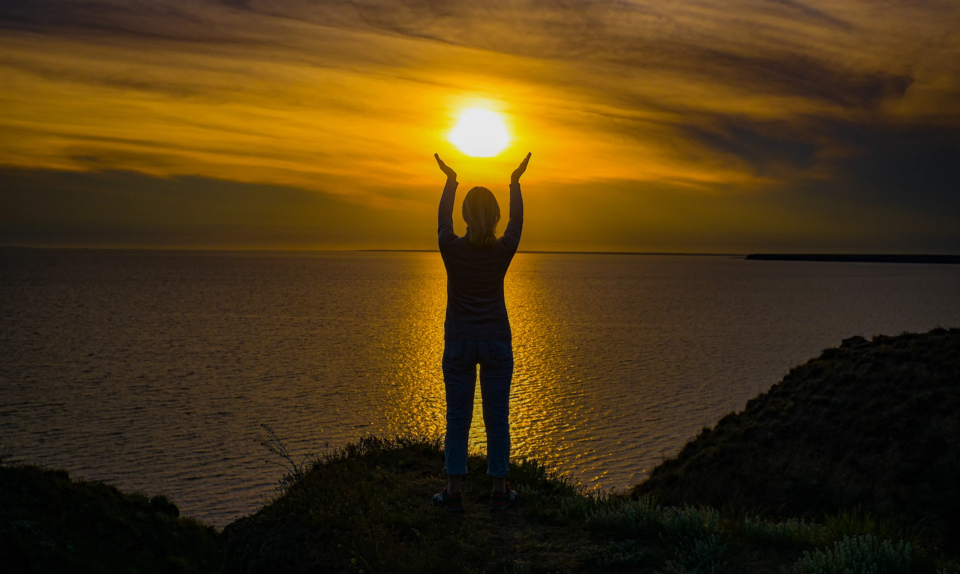 Interaction with the Sun