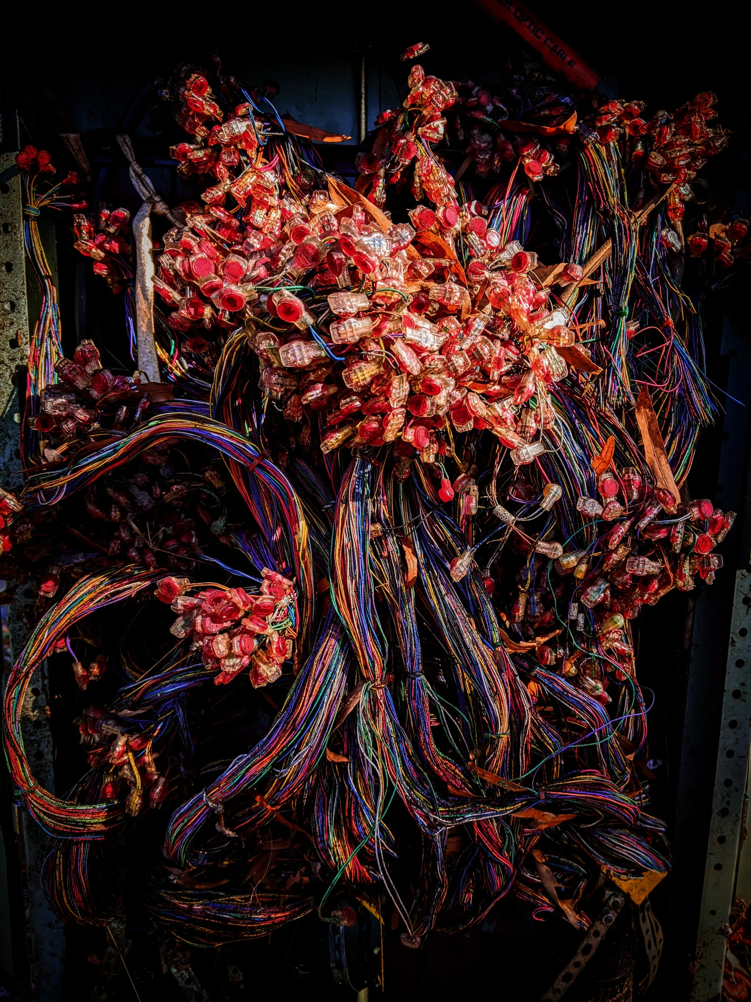 Chaos