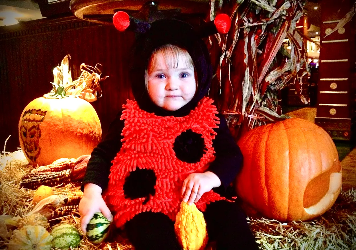 To bee or not to bee