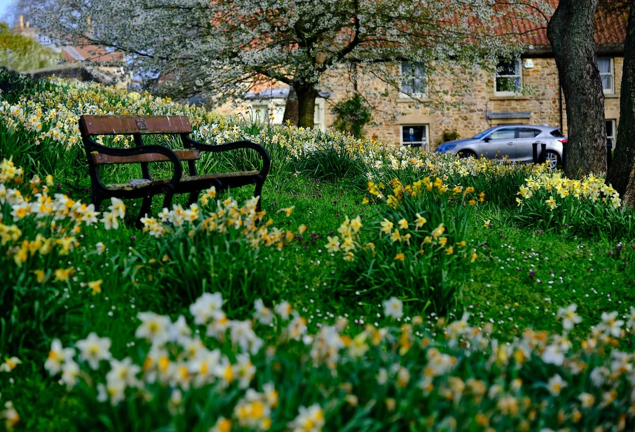 Gainford