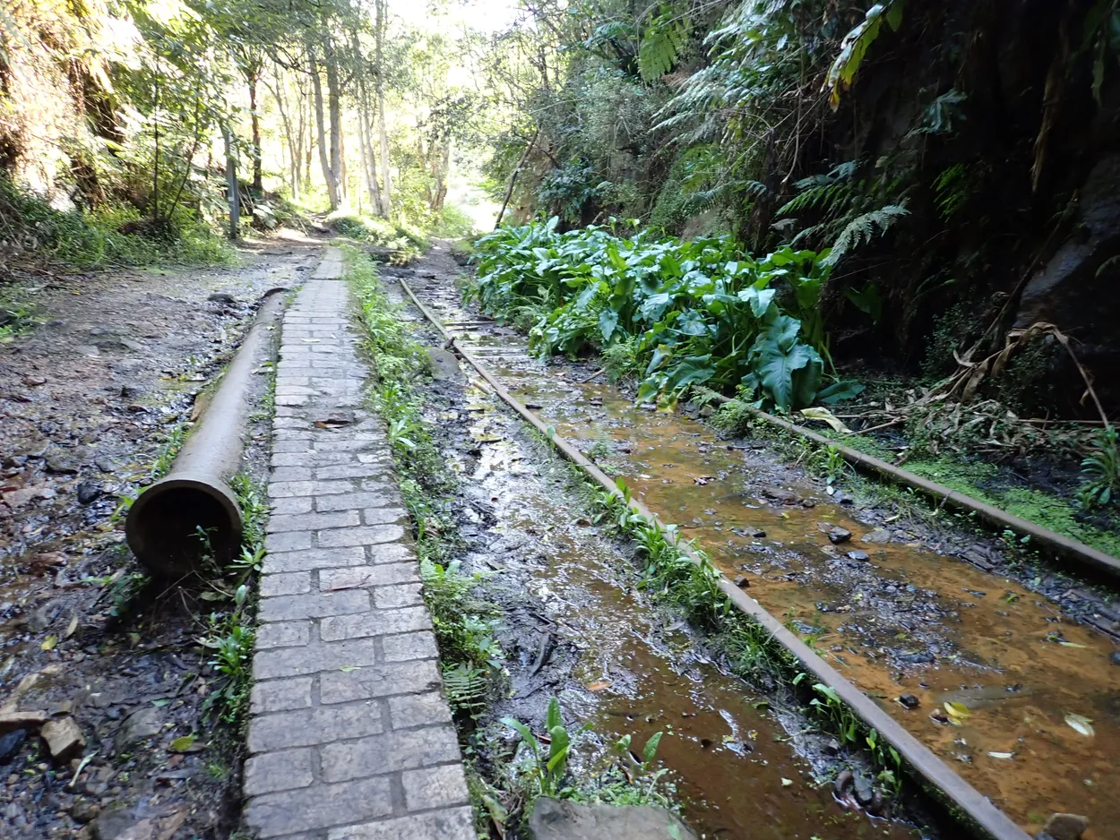 helensburgh tracks