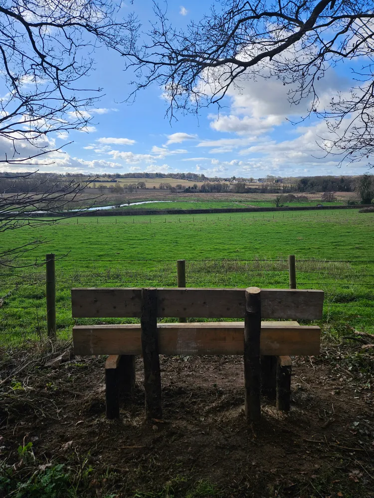Bench