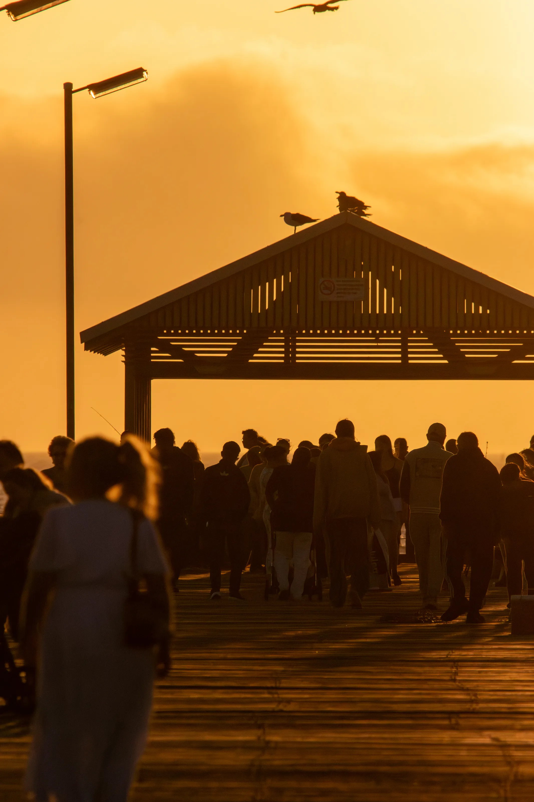 Semaphore Jetty Golden Hour