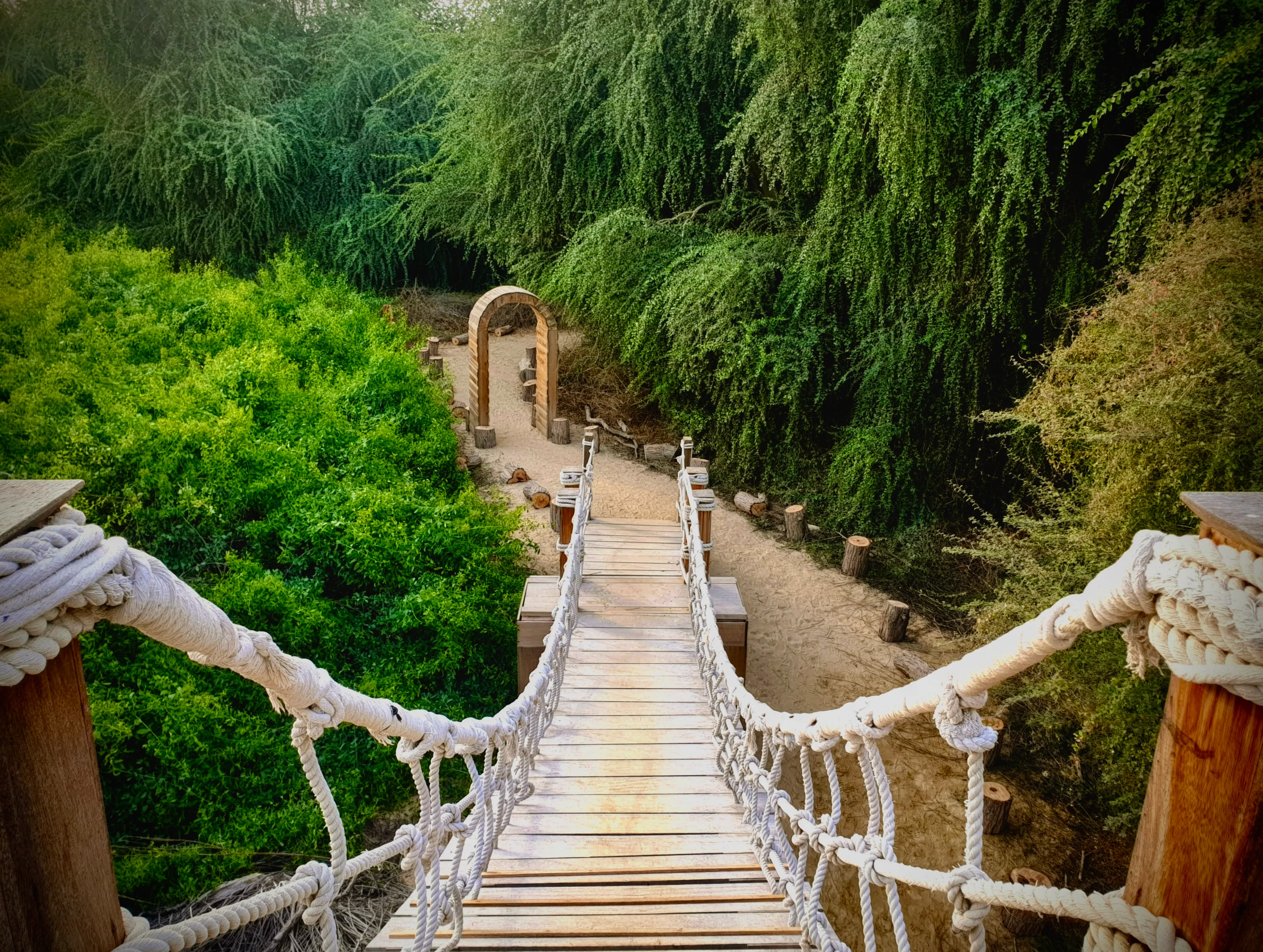 A descending bridge in a forest pathway