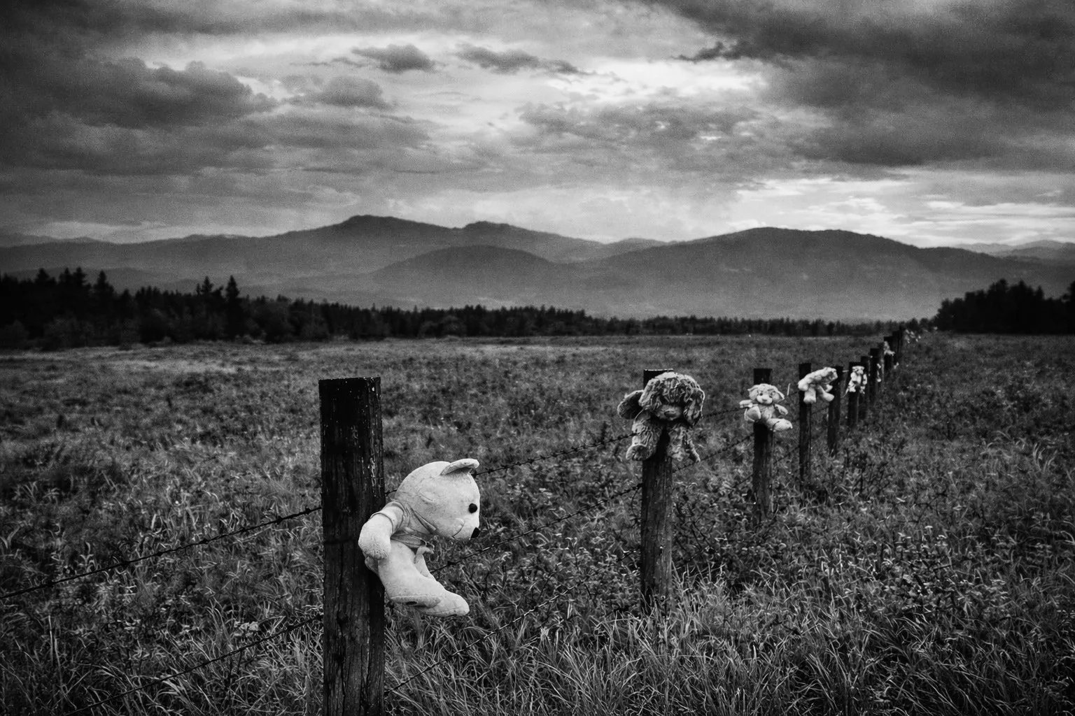 Conceptual Photography