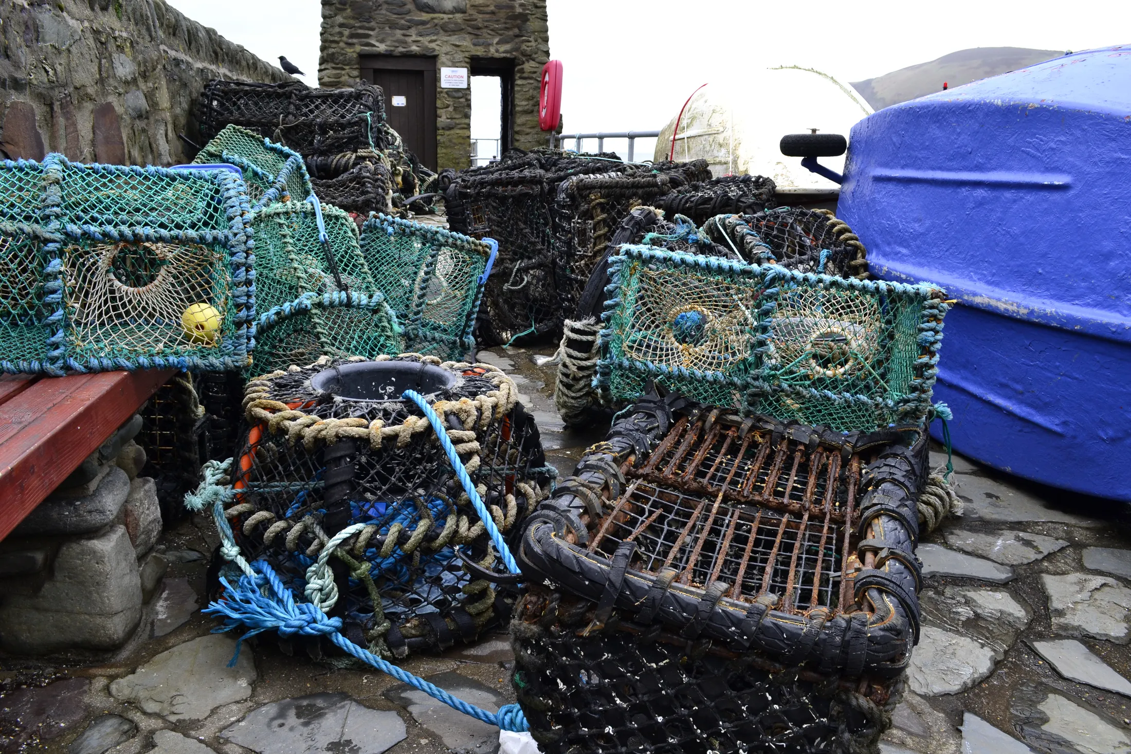 Chaos On Lynmouth Quayside.