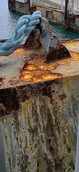 Rusty at the Harbour